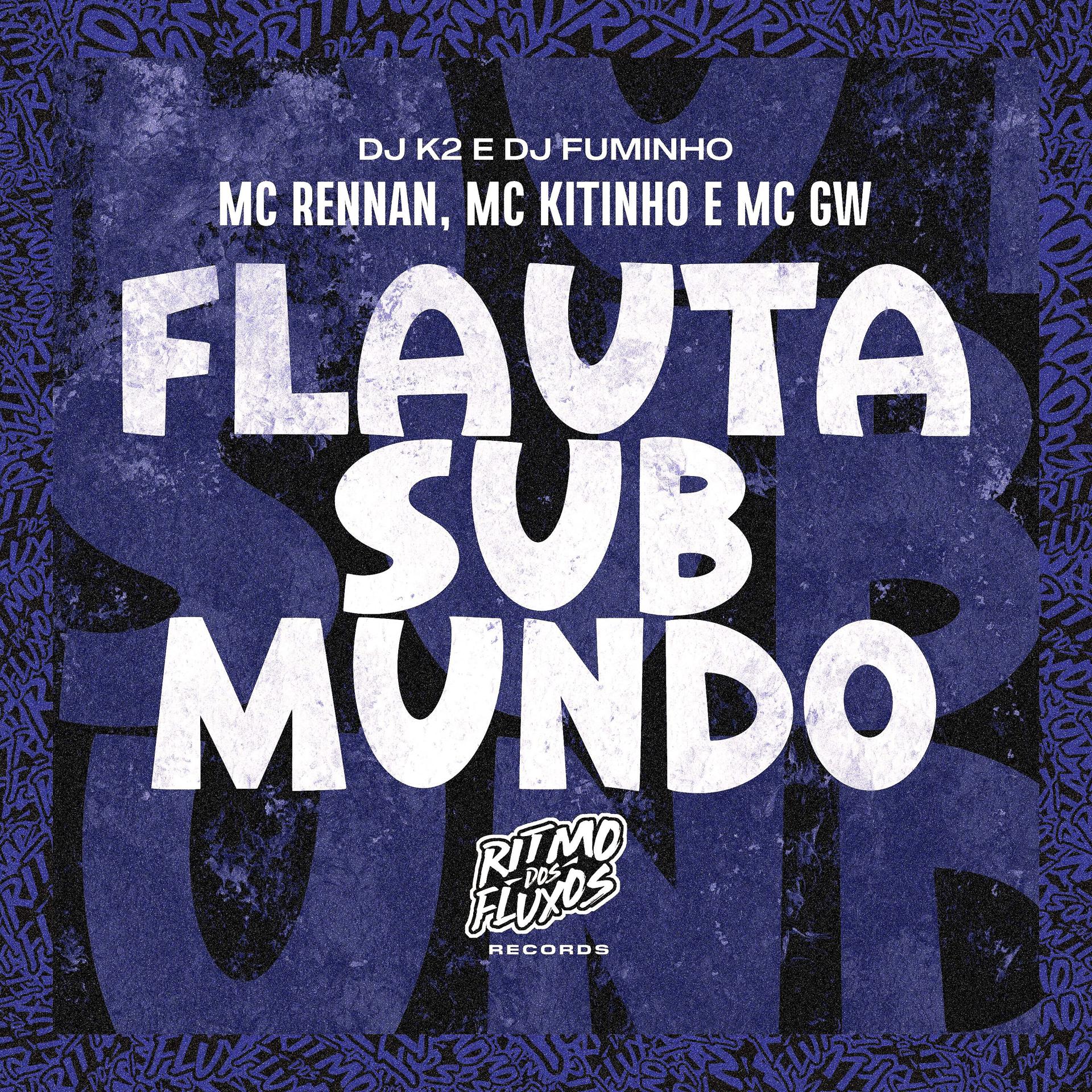 Постер альбома Flauta Sub Mundo