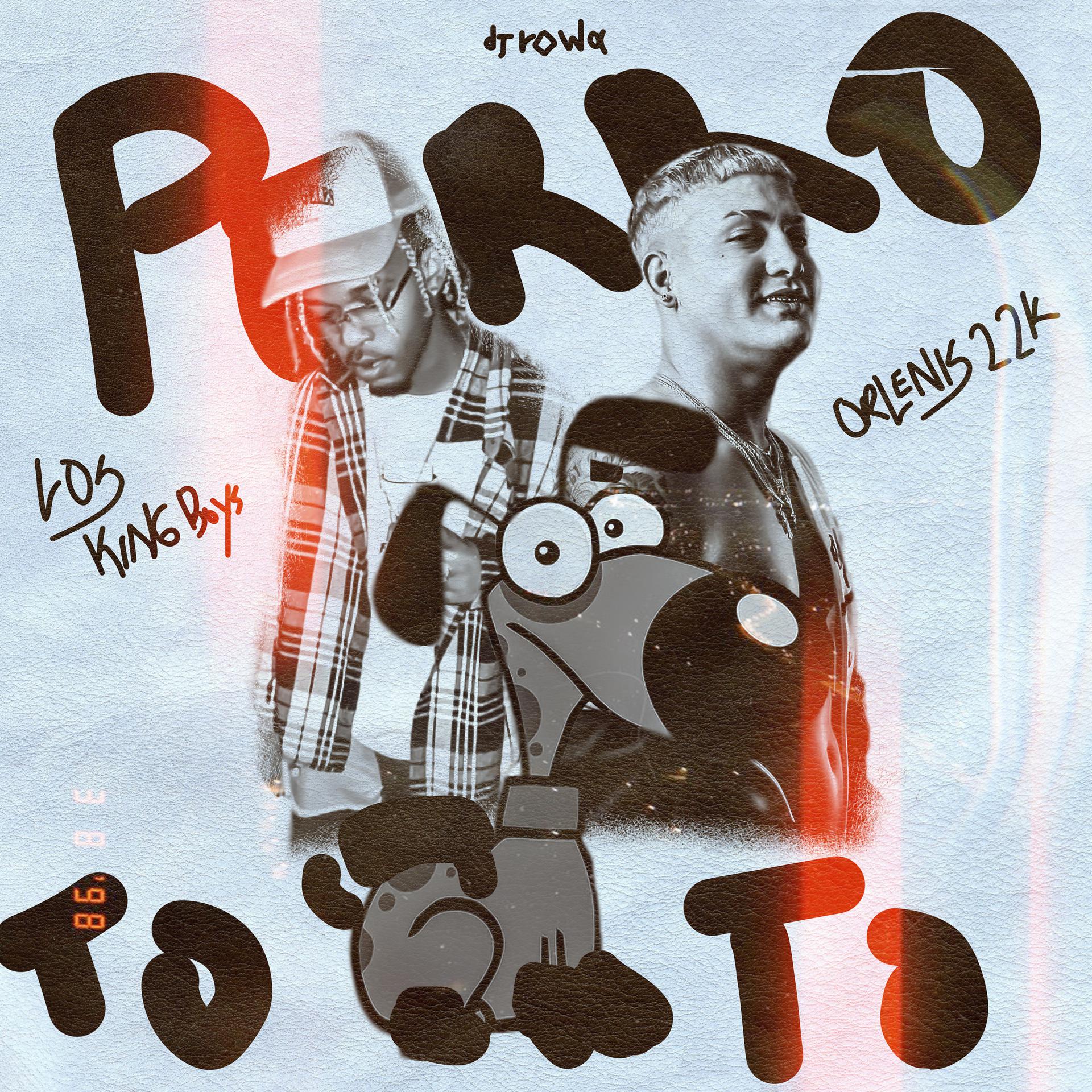 Постер альбома Perro Toto