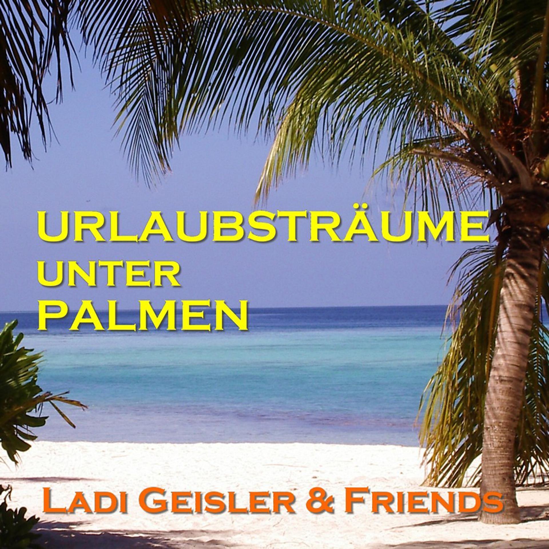 Постер альбома Urlaubsträume unter Palmen (Guitar Dreams)