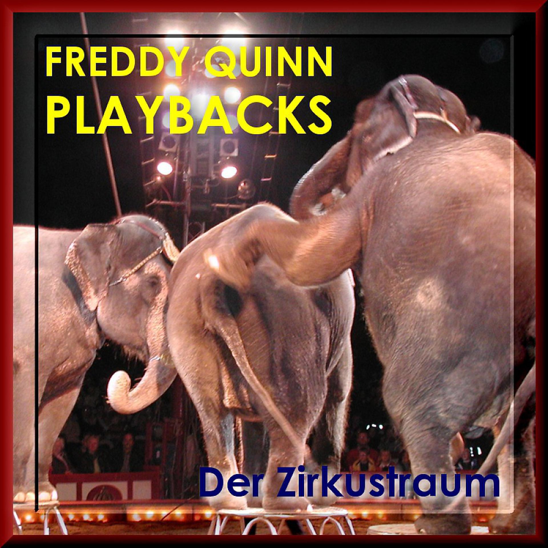 Постер альбома Freddy Quinn Playbacks - Karaoke Party - Der Zirkustraum