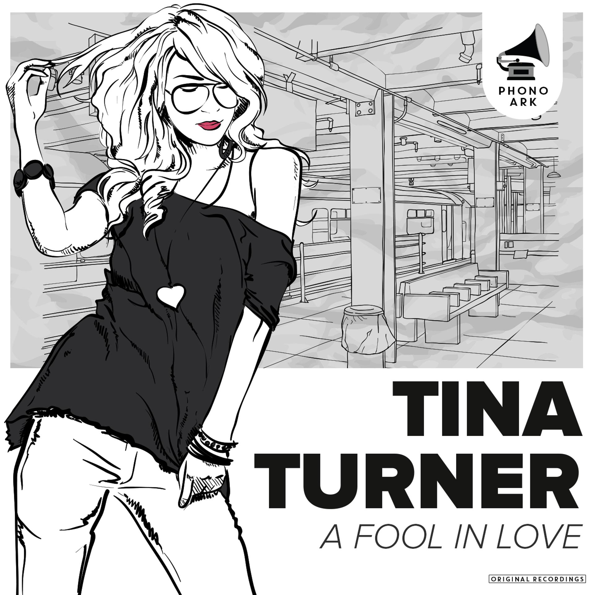 Постер альбома A Fool in Love (The Very Best of Tina Turner)