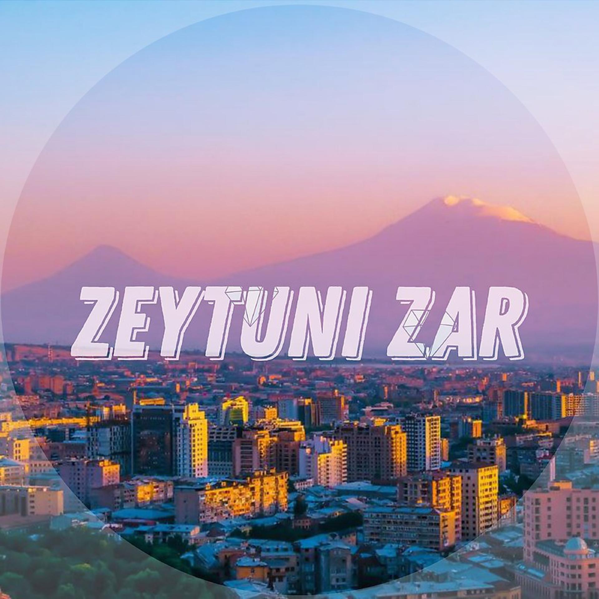 Постер альбома Zeytuni Zar