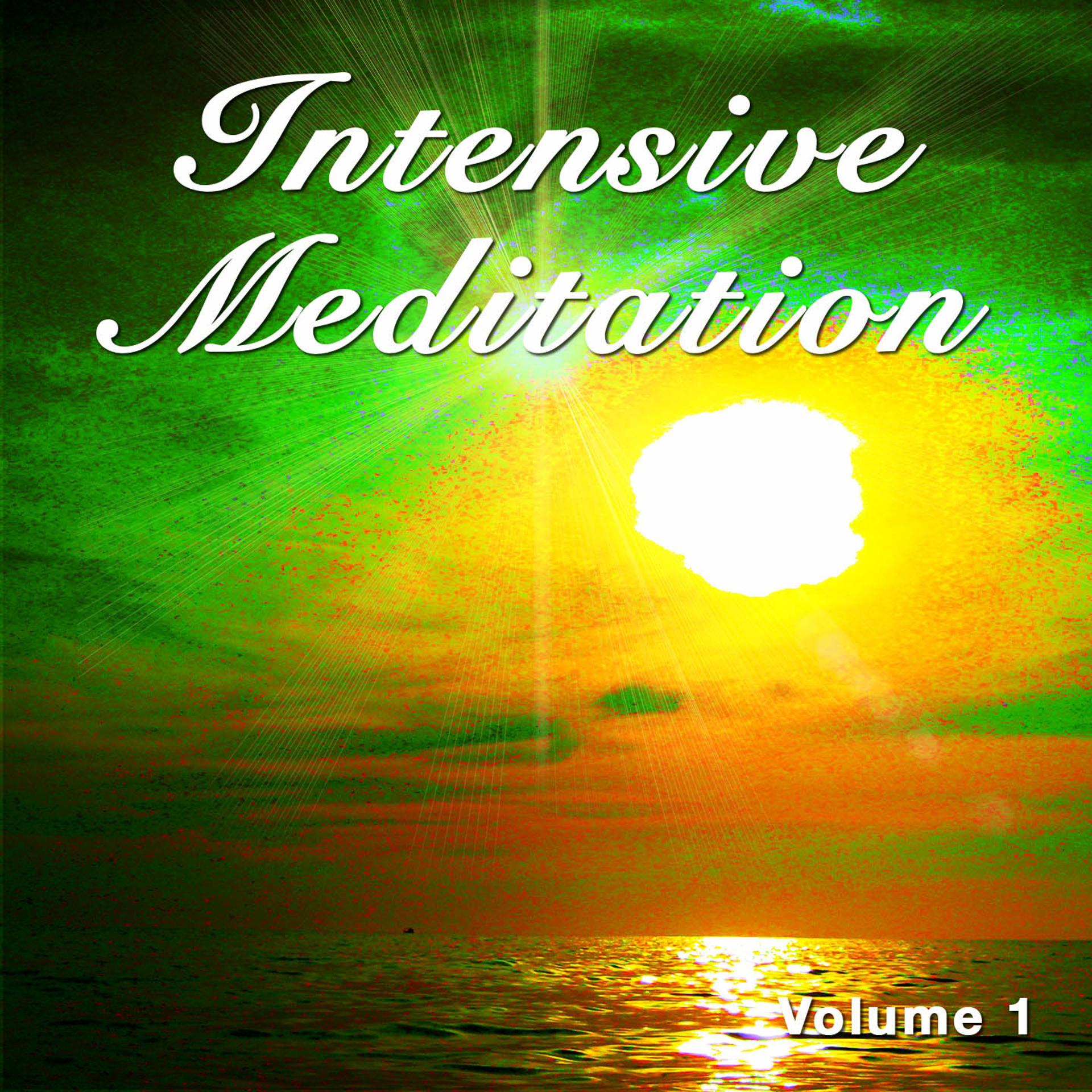 Постер альбома Intensive Meditation, Vol. 1