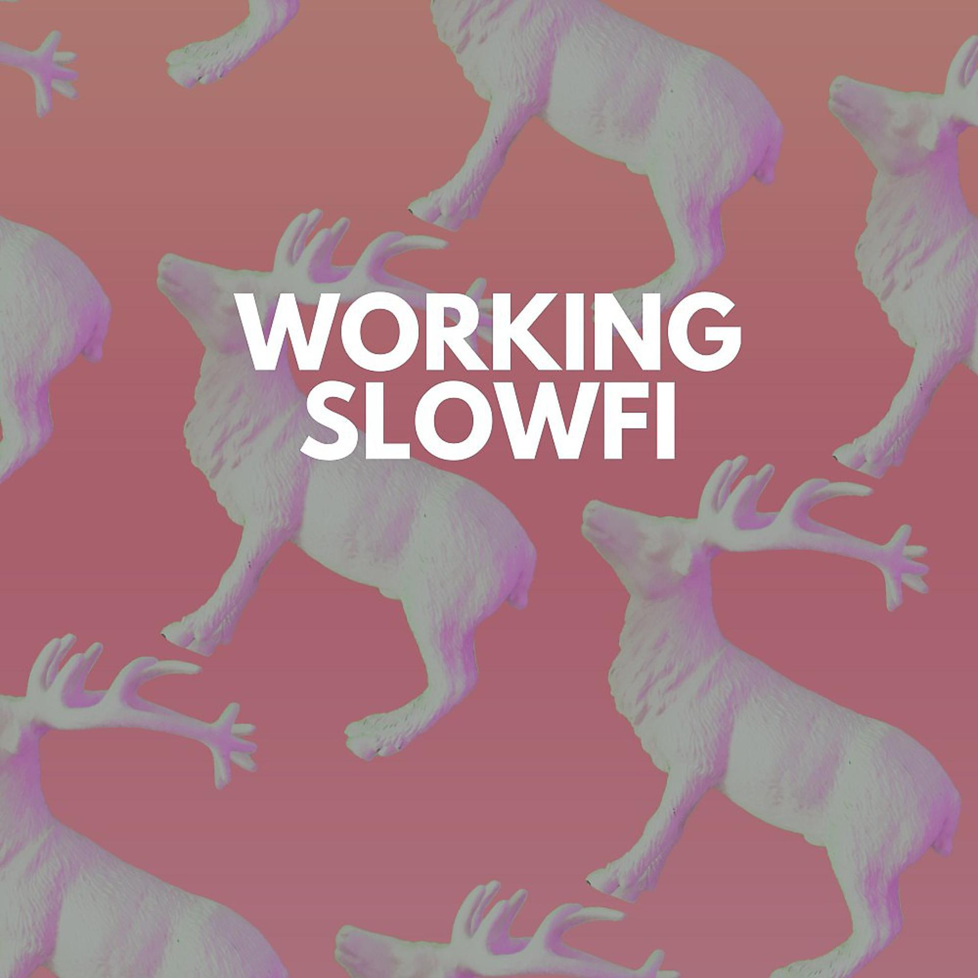 Постер альбома Working Slowfi