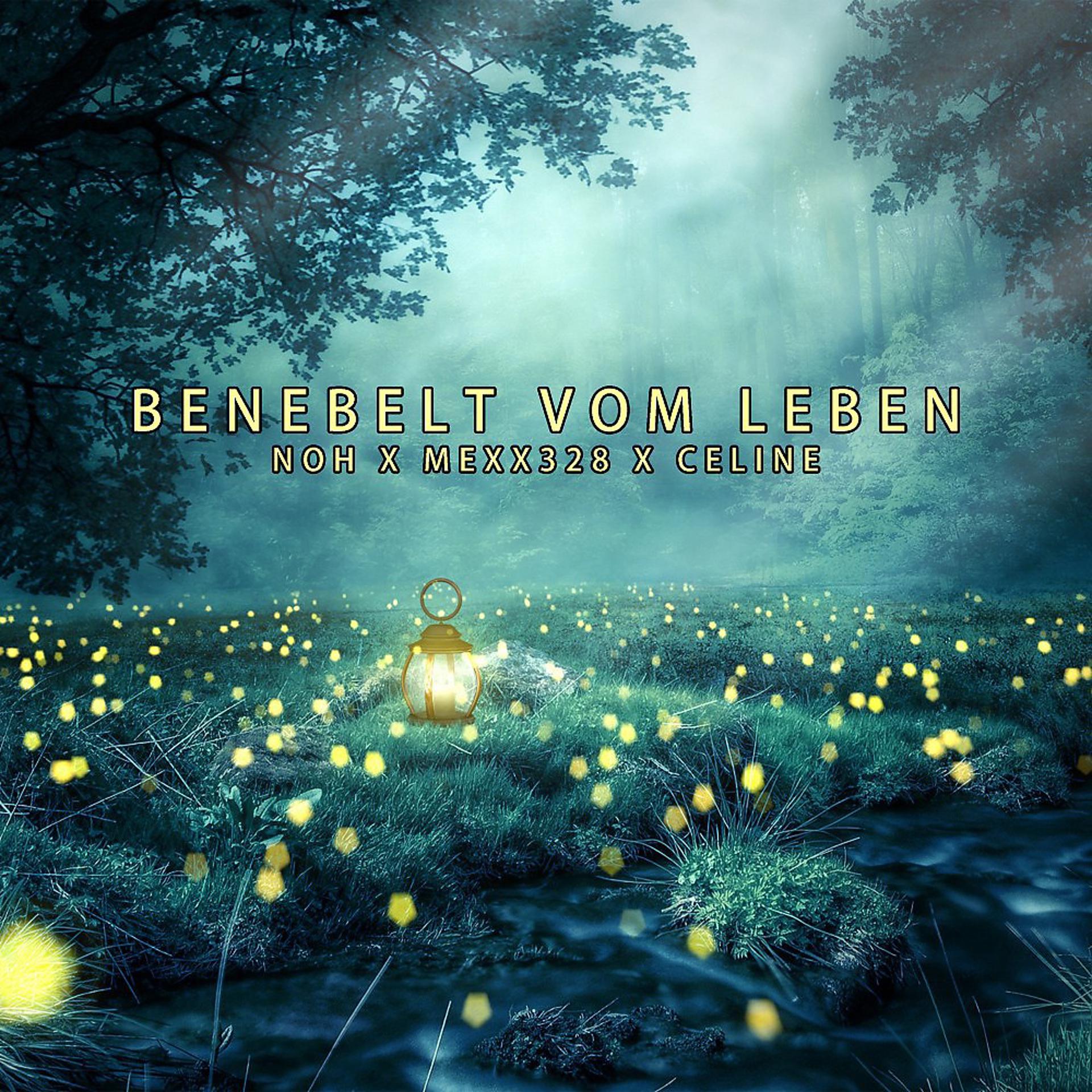 Постер альбома Benebelt vom Leben