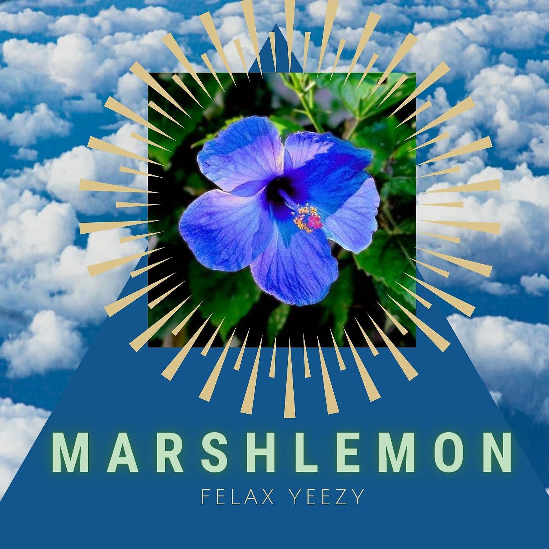 Постер альбома Felax Yeezy
