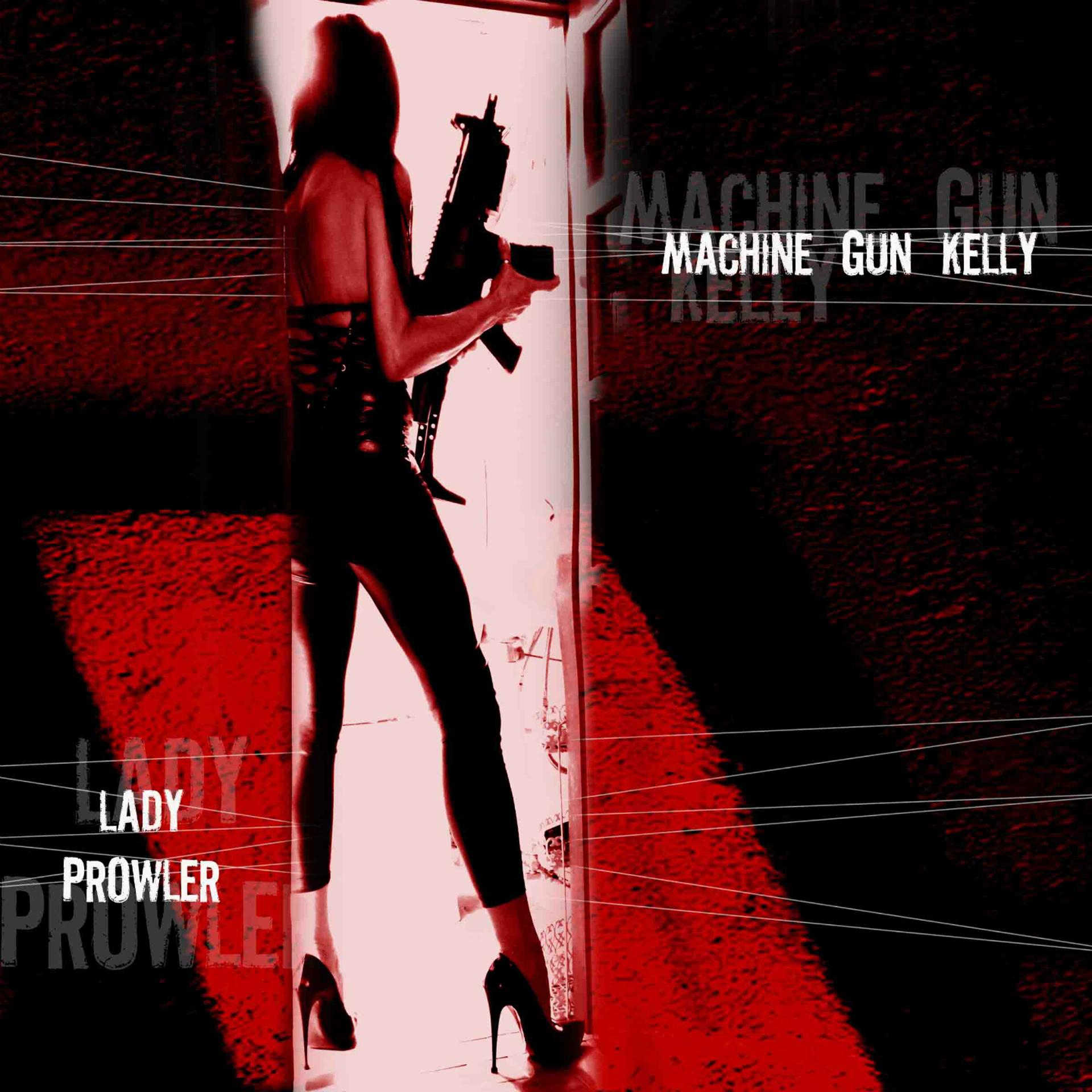 Постер альбома Lady Prowler