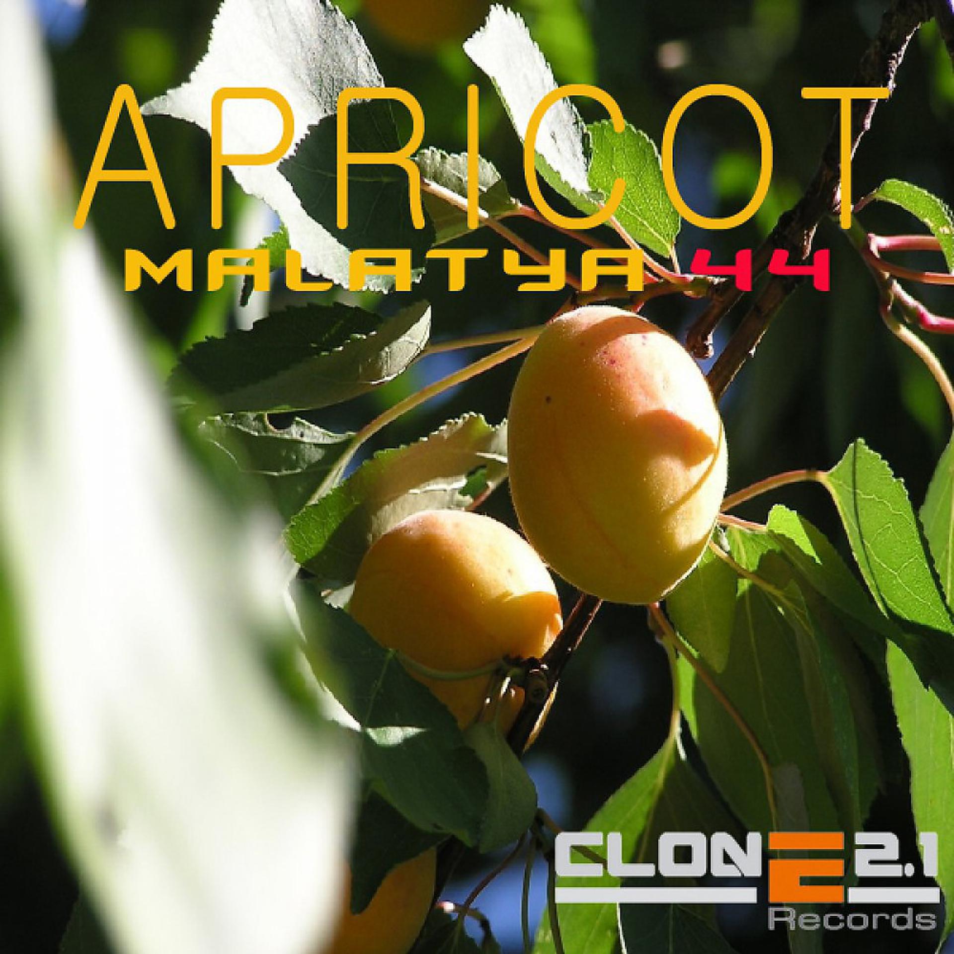 Постер альбома Apricot