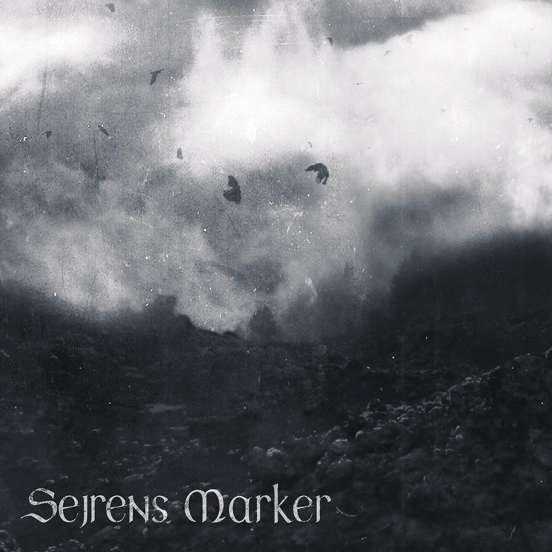 Постер альбома Sejrens Marker