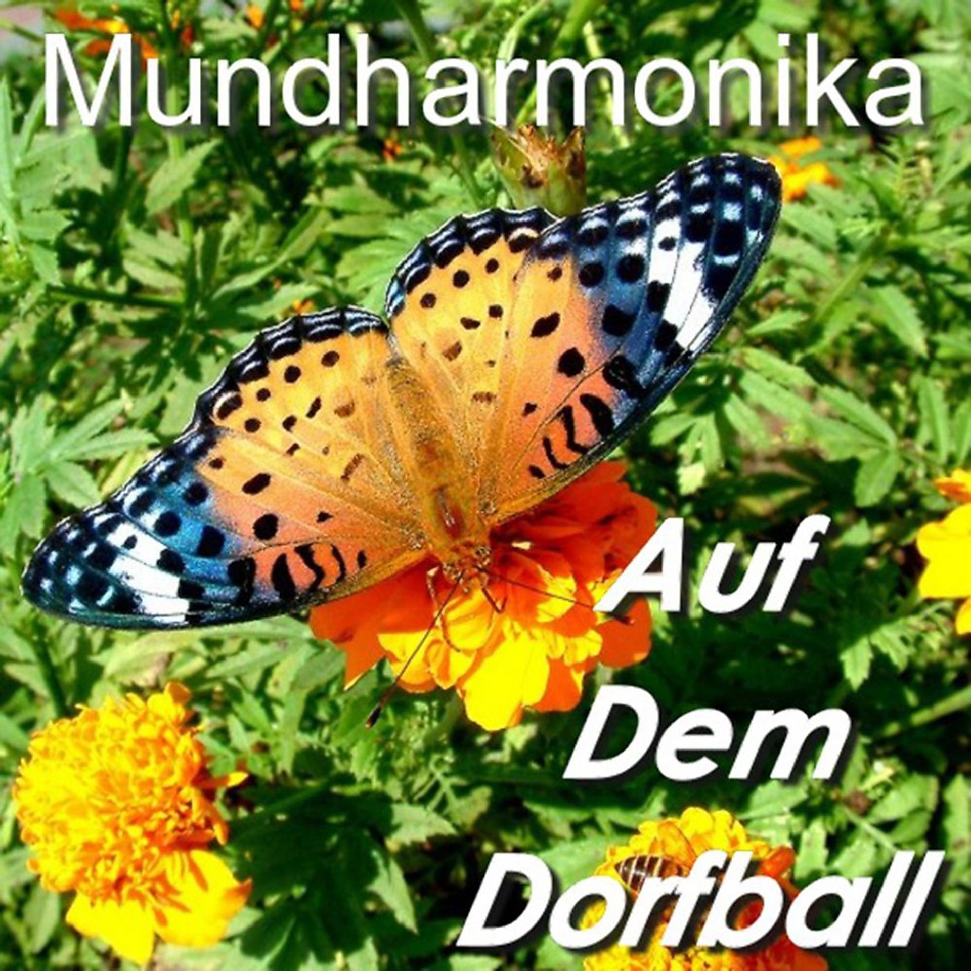 Постер альбома Mundharmonika - Auf dem Dorfball