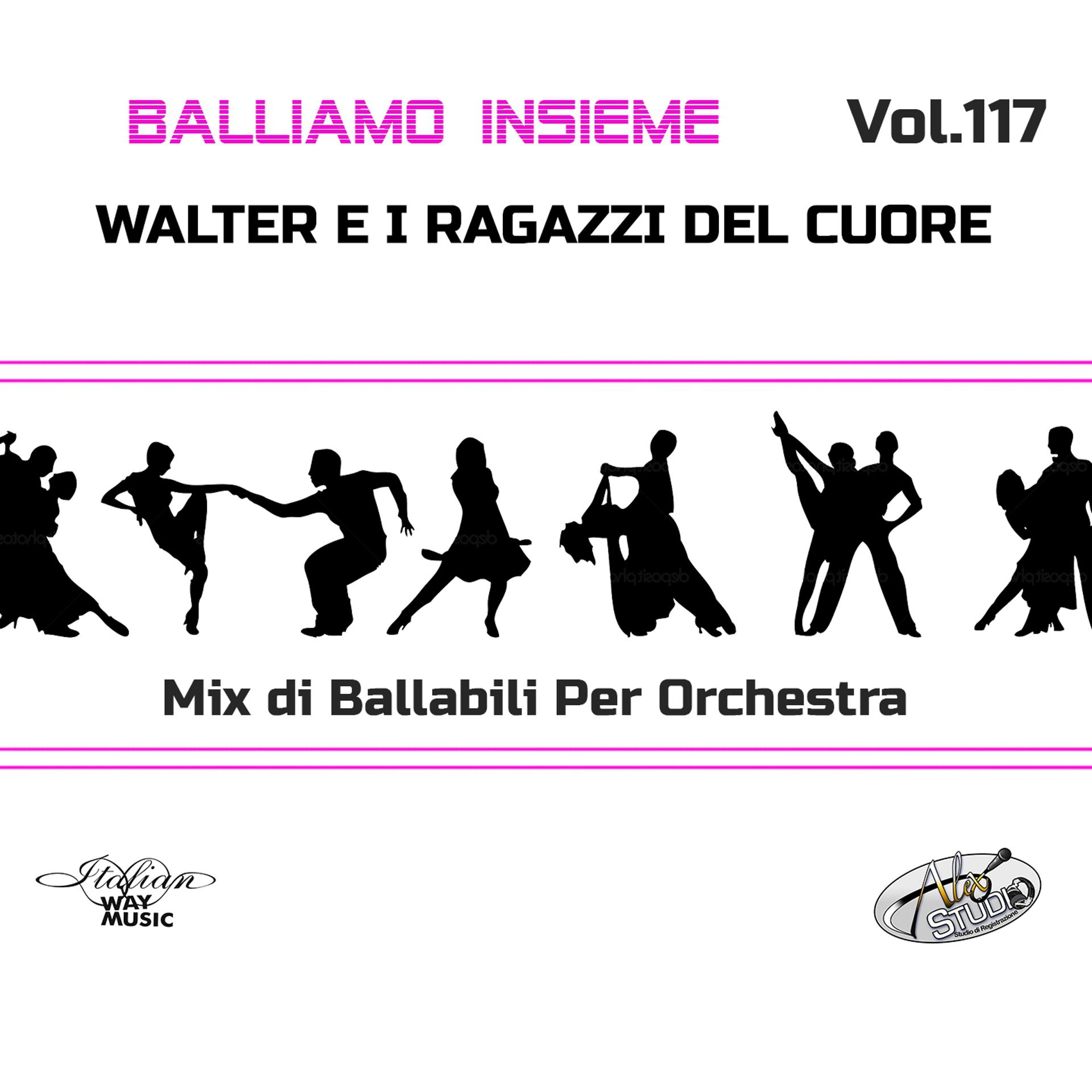 Постер альбома Balliamo insieme, Vol. 117 (Mix di ballabili per orchestra)