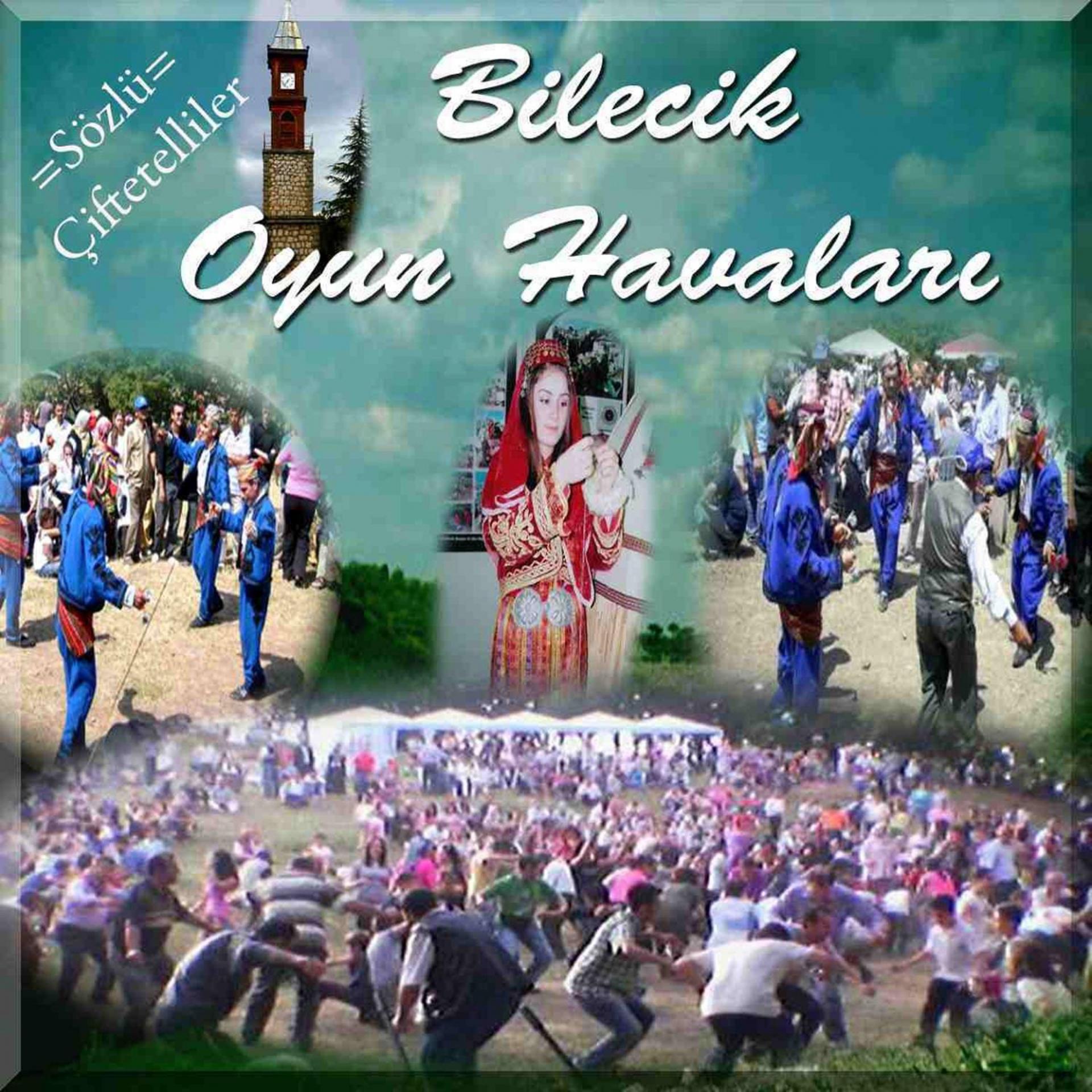 Постер альбома Bilecik Oyun Havaları