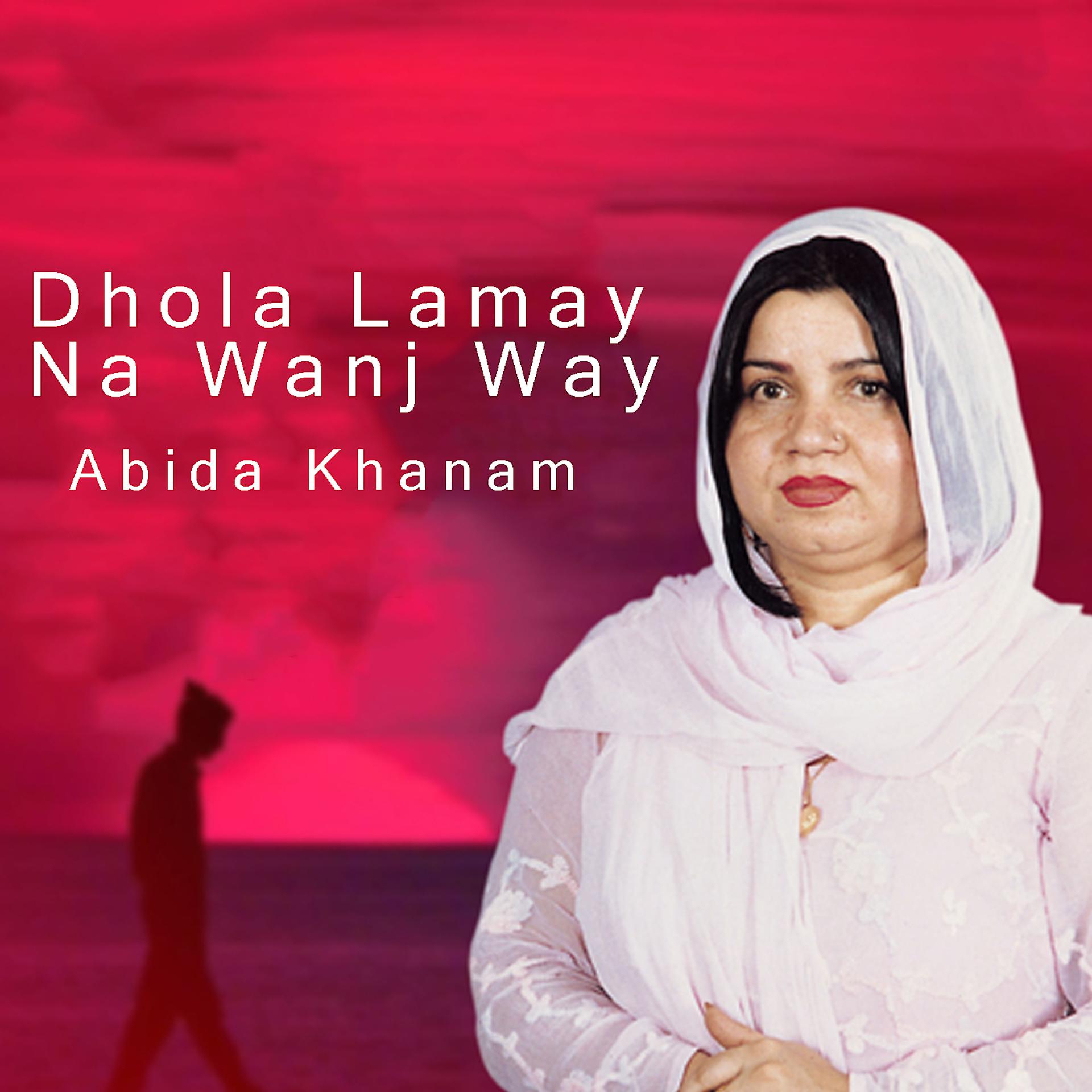 Постер альбома Dhola Lamay Na Wanj Way