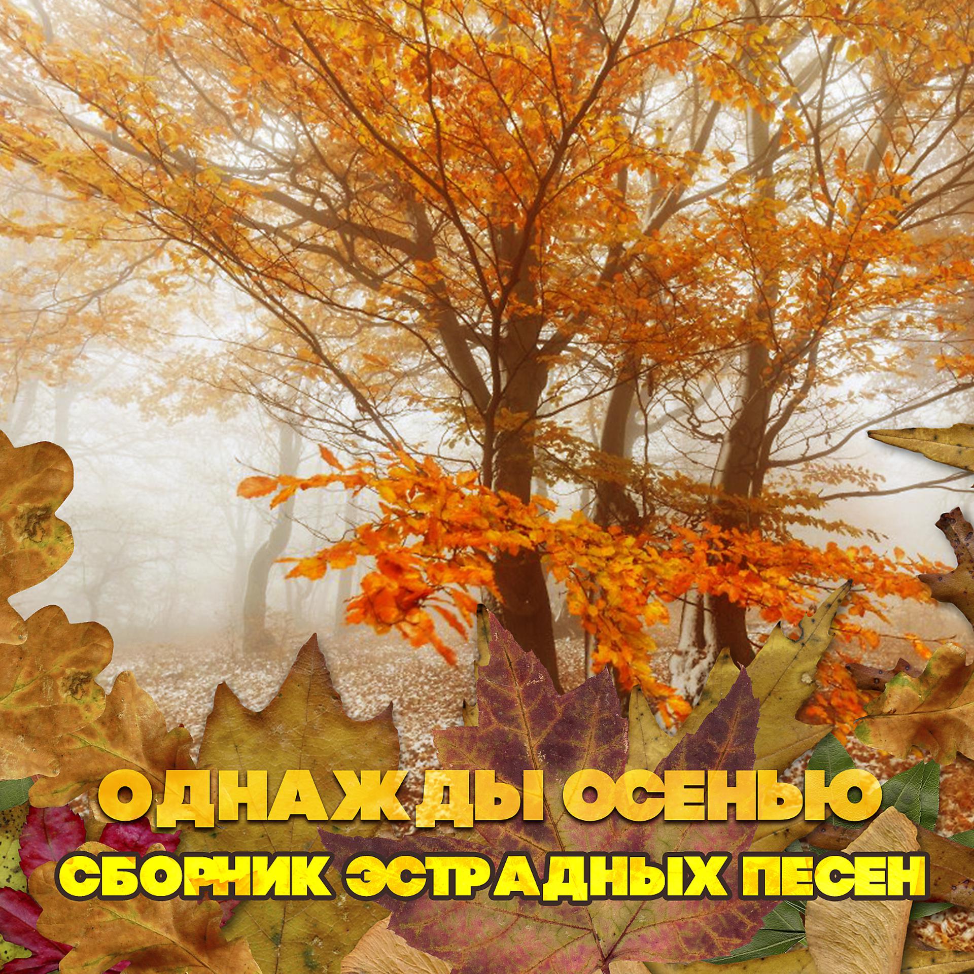 Постер альбома Однажды осенью - ноябрь. Сборник эстрадных песен