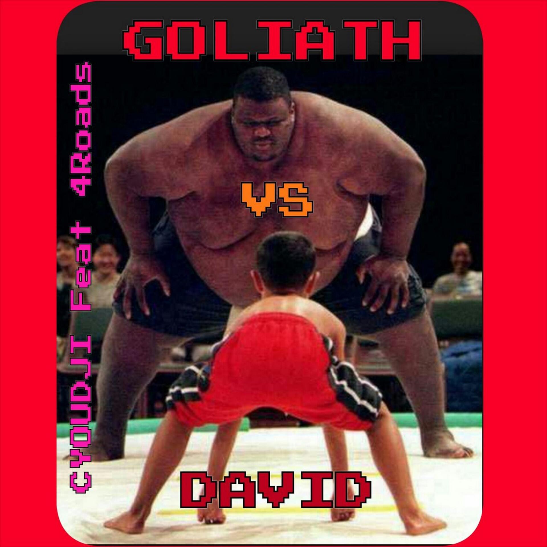 Постер альбома David vs. Goliath