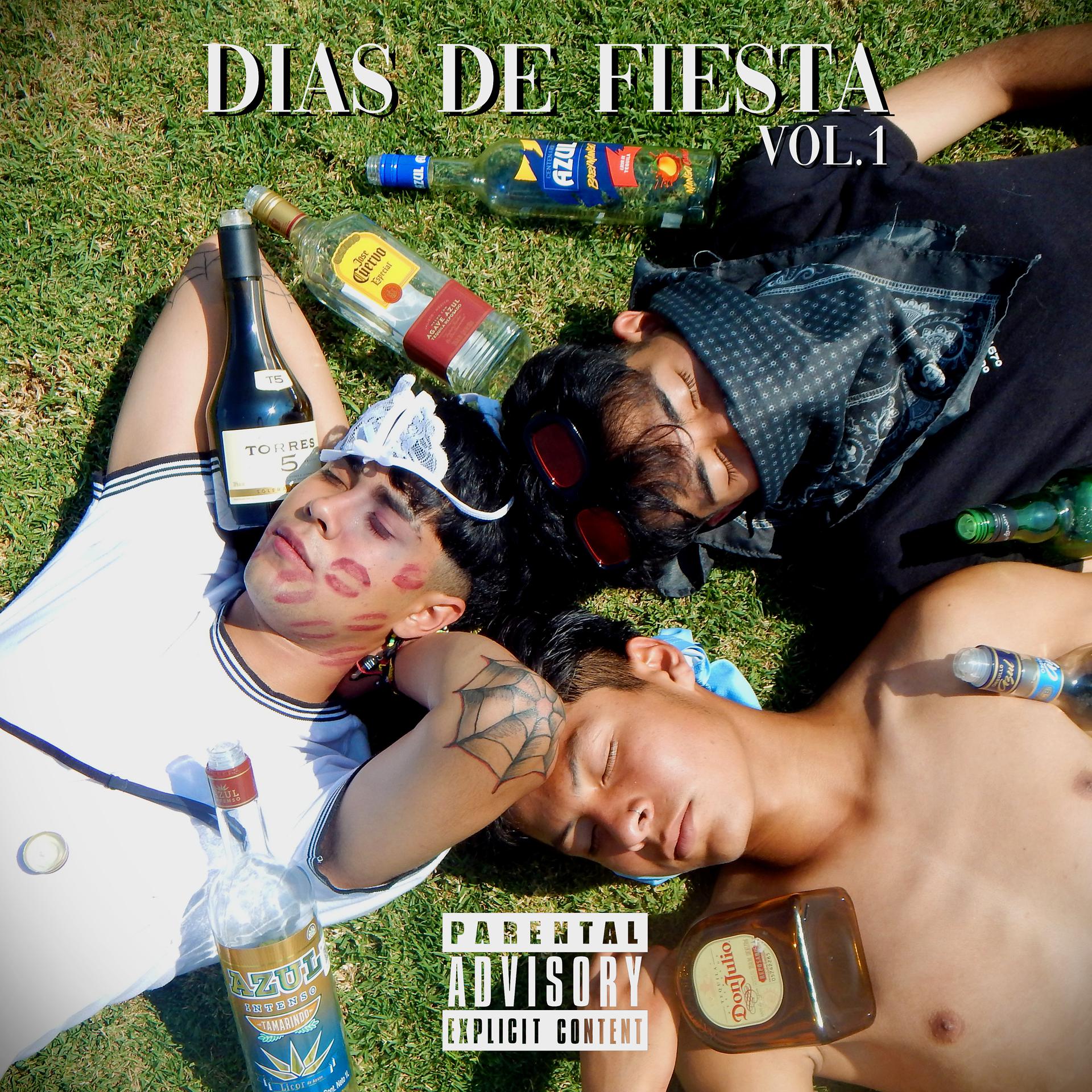 Постер альбома Dias de Fiesta, Vol.1