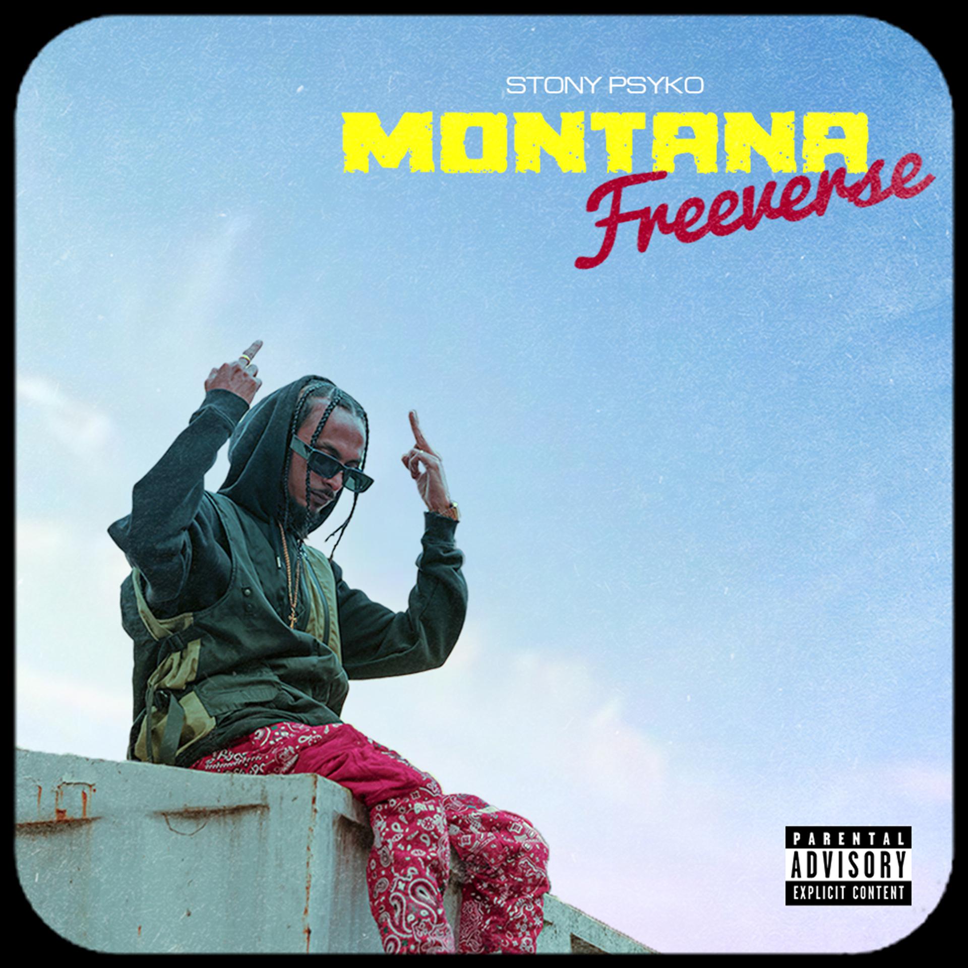 Постер альбома Montana Freeverse