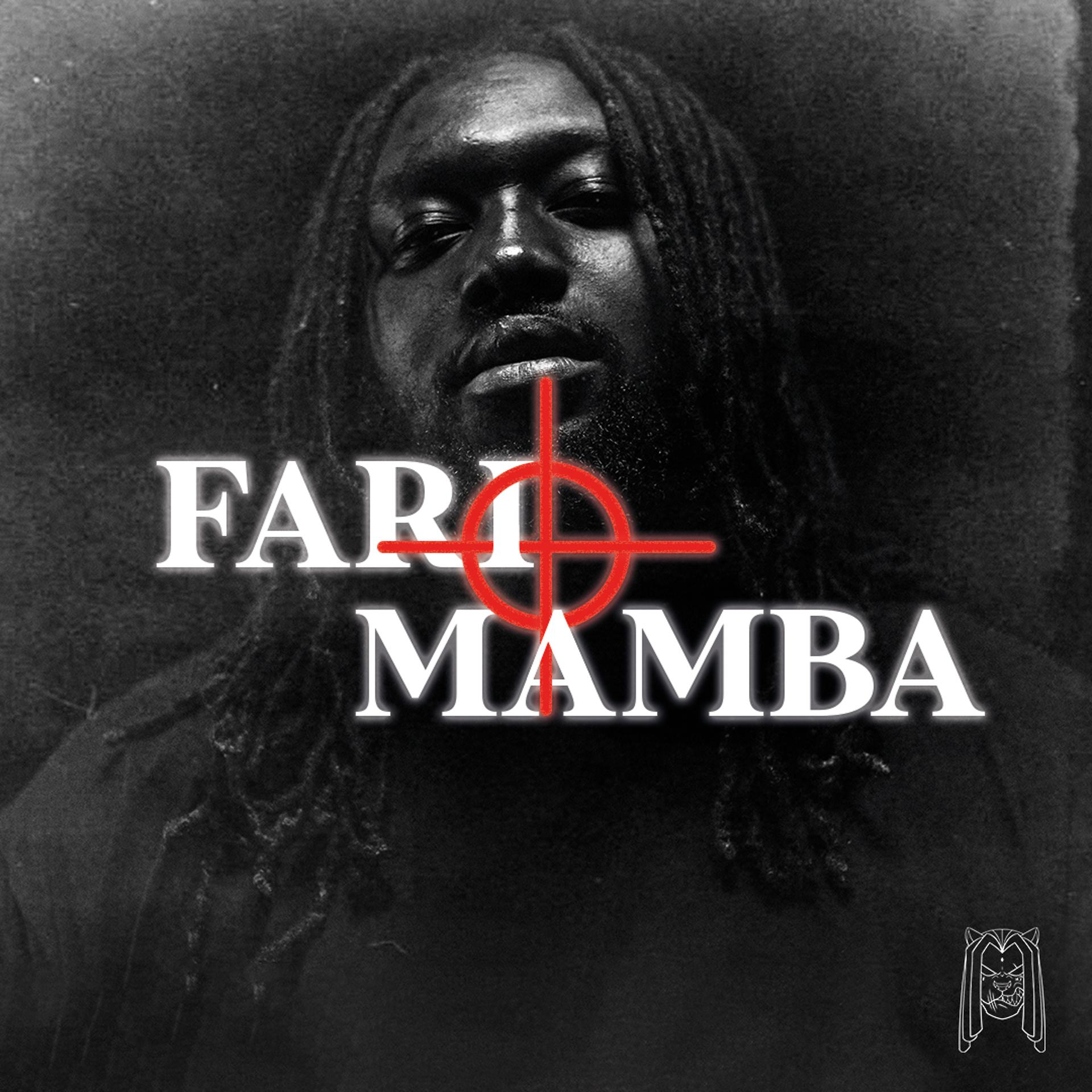 Постер альбома Farimamba