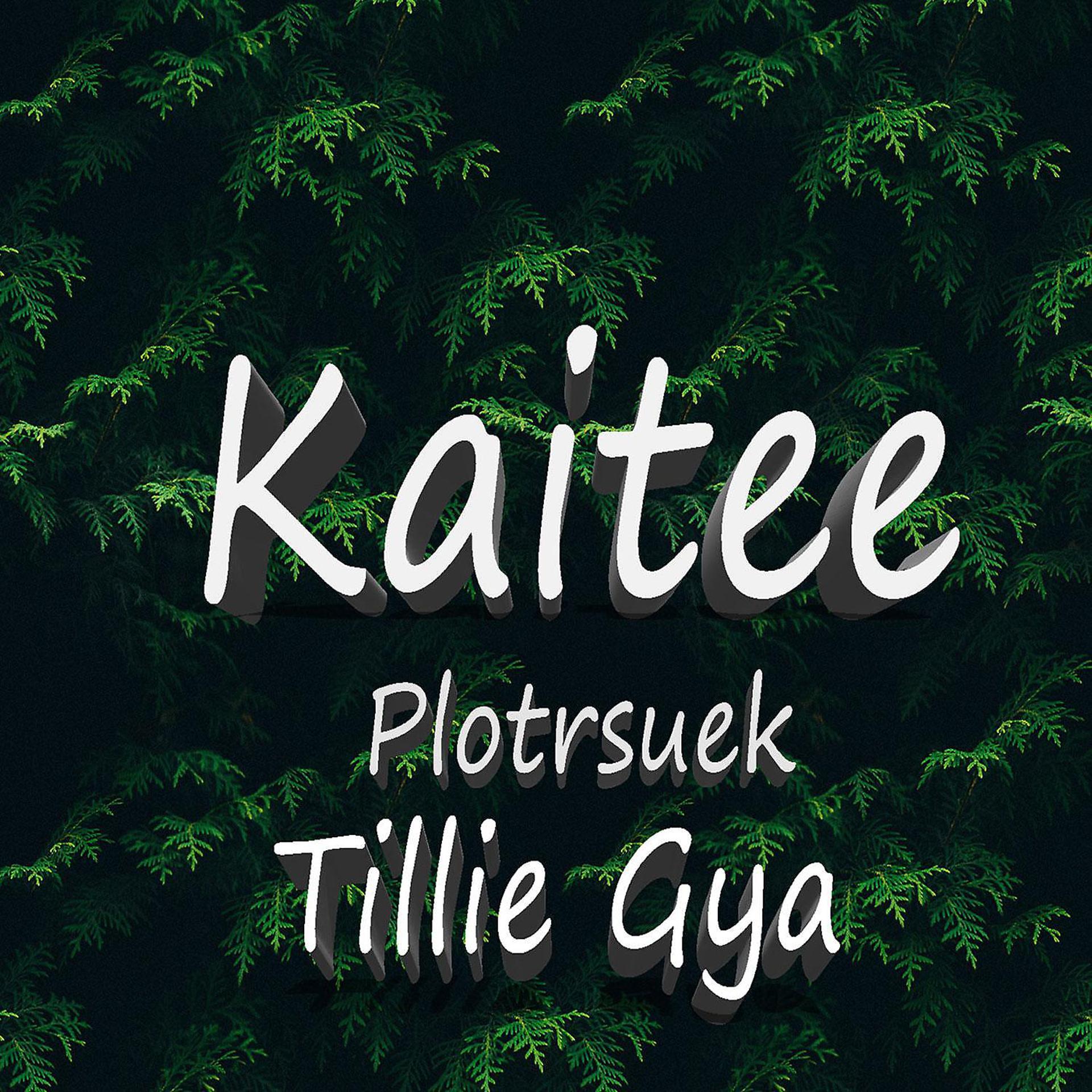 Постер альбома Kaitee (feat. PlotrsuekK)