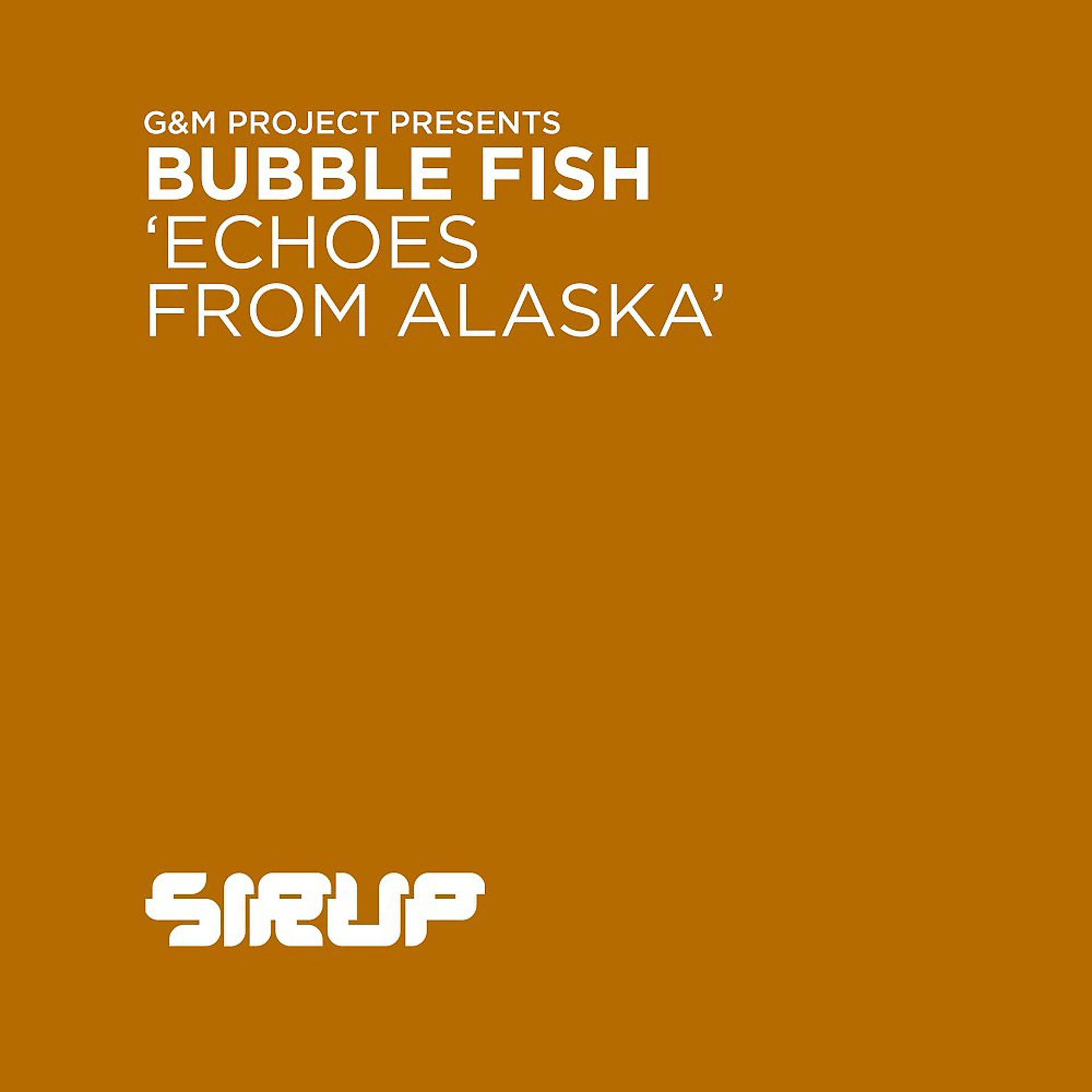Постер альбома Echoes from Alaska