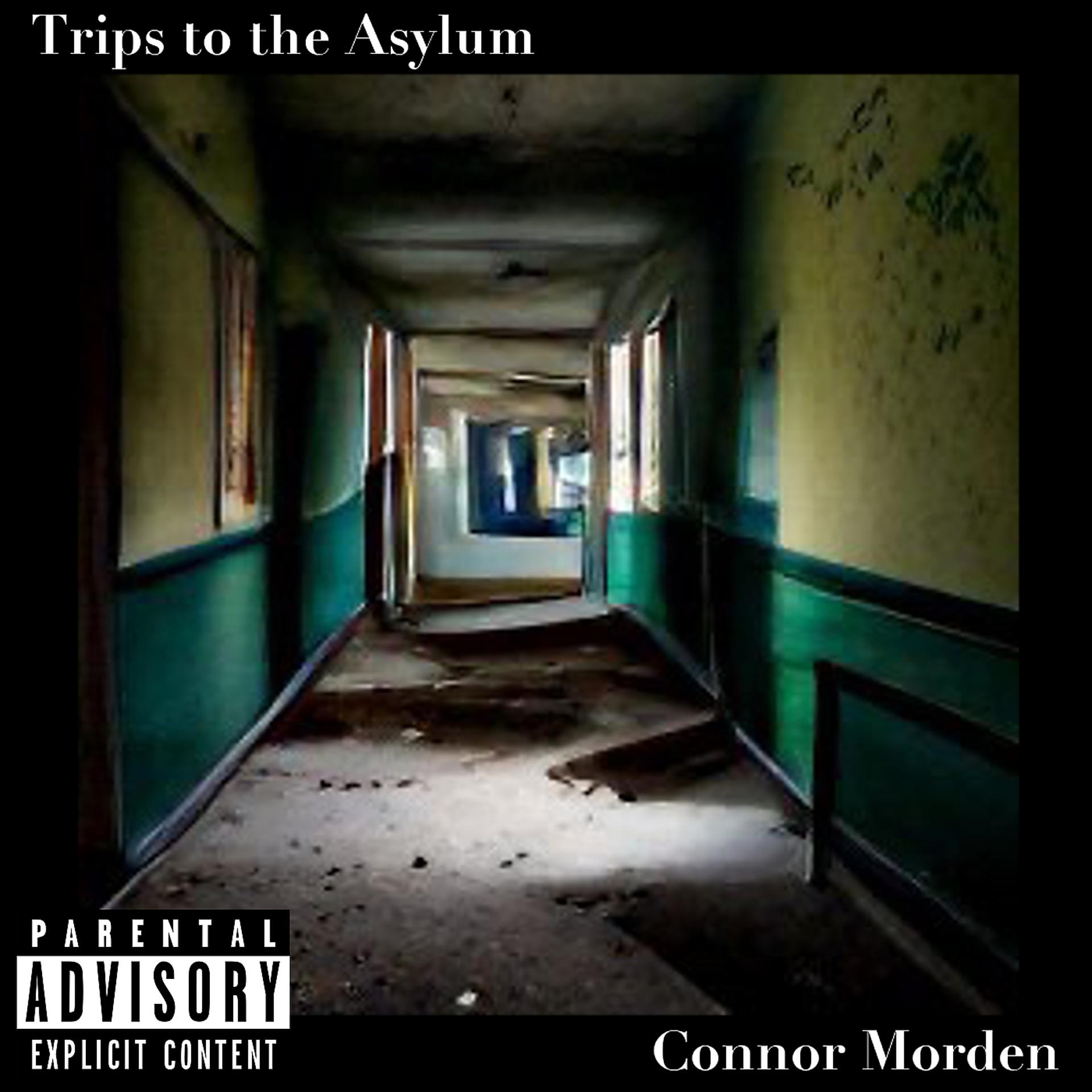 Постер альбома Trips to the Asylum