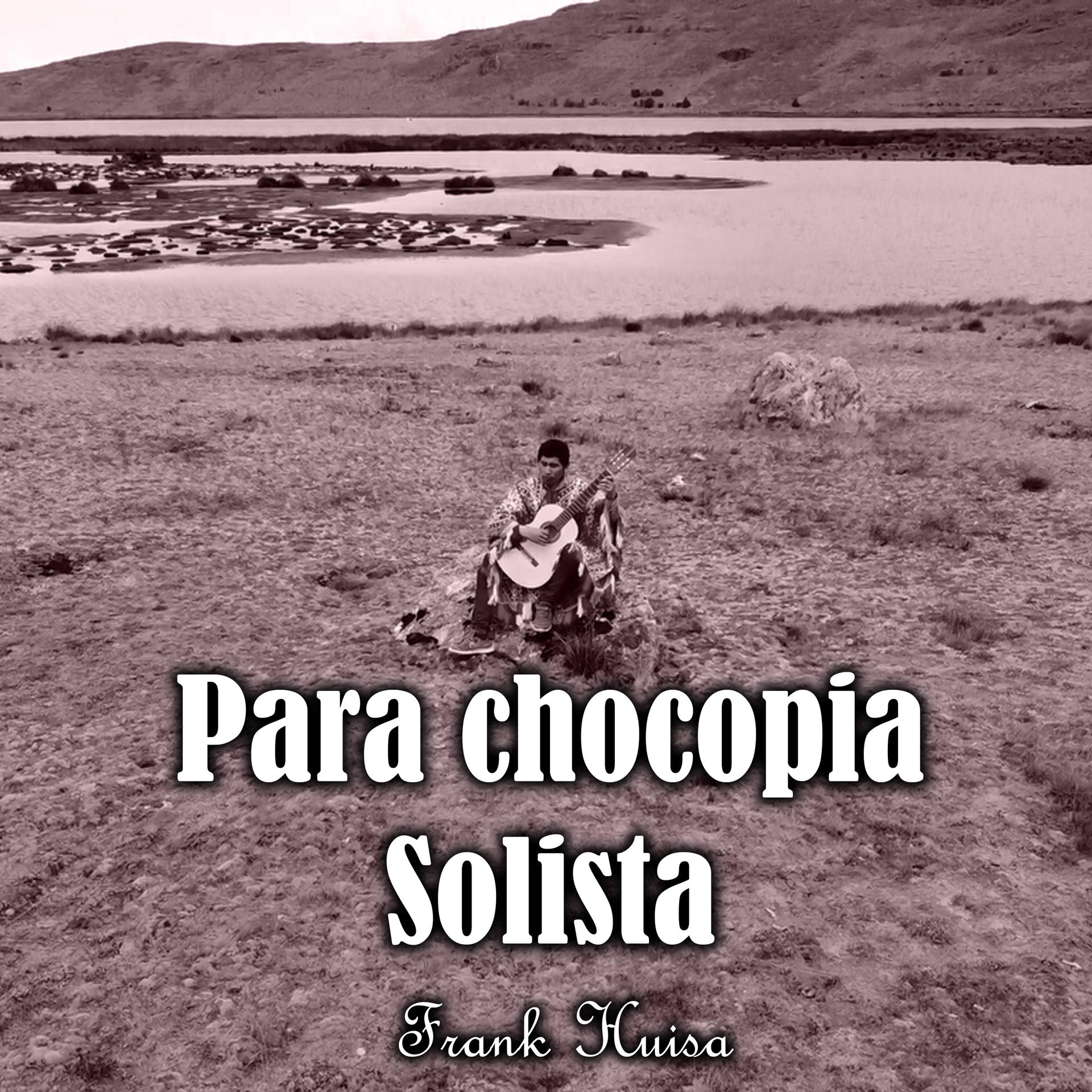 Постер альбома Para Chocopia Solista