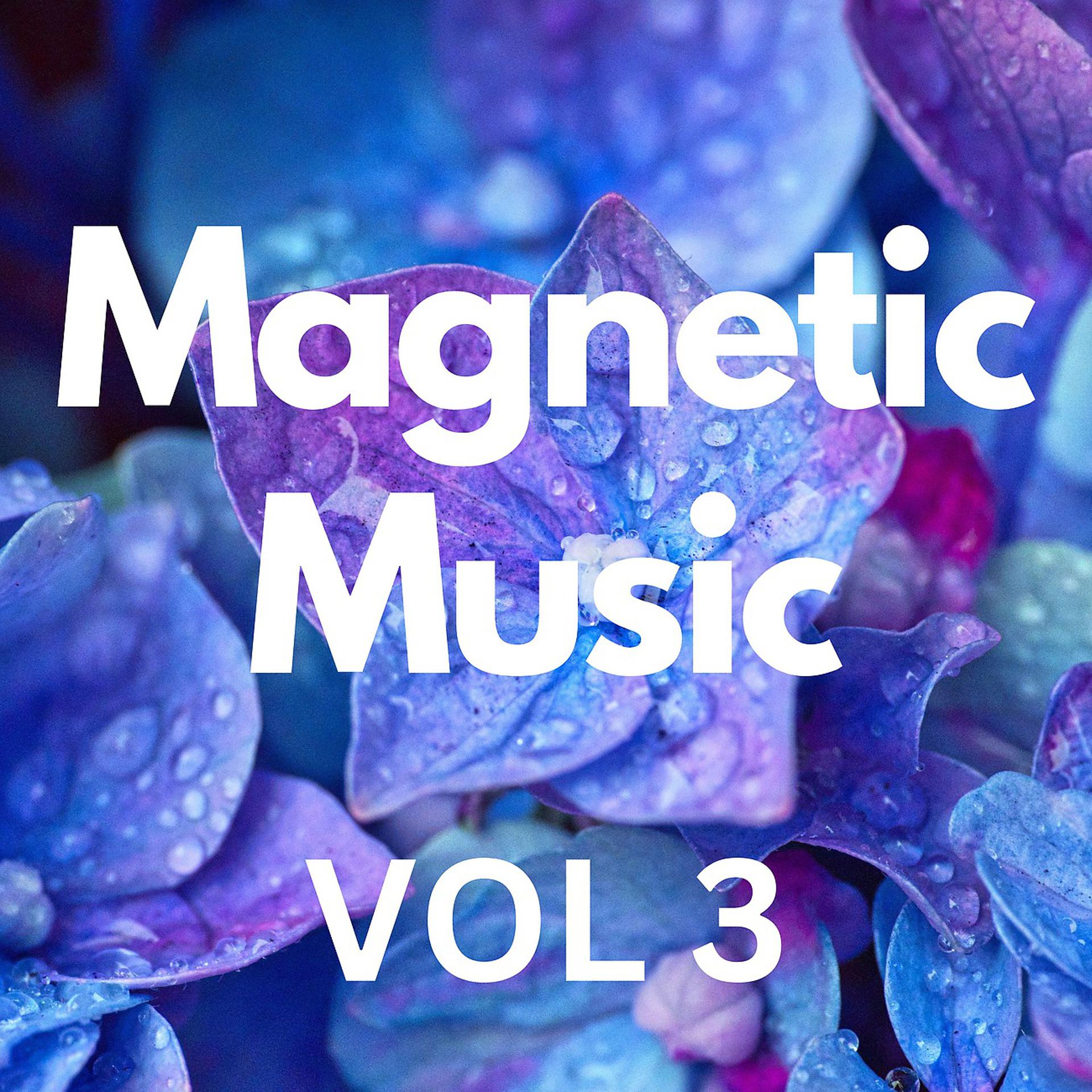 Постер альбома Magnetic Music Vol 3