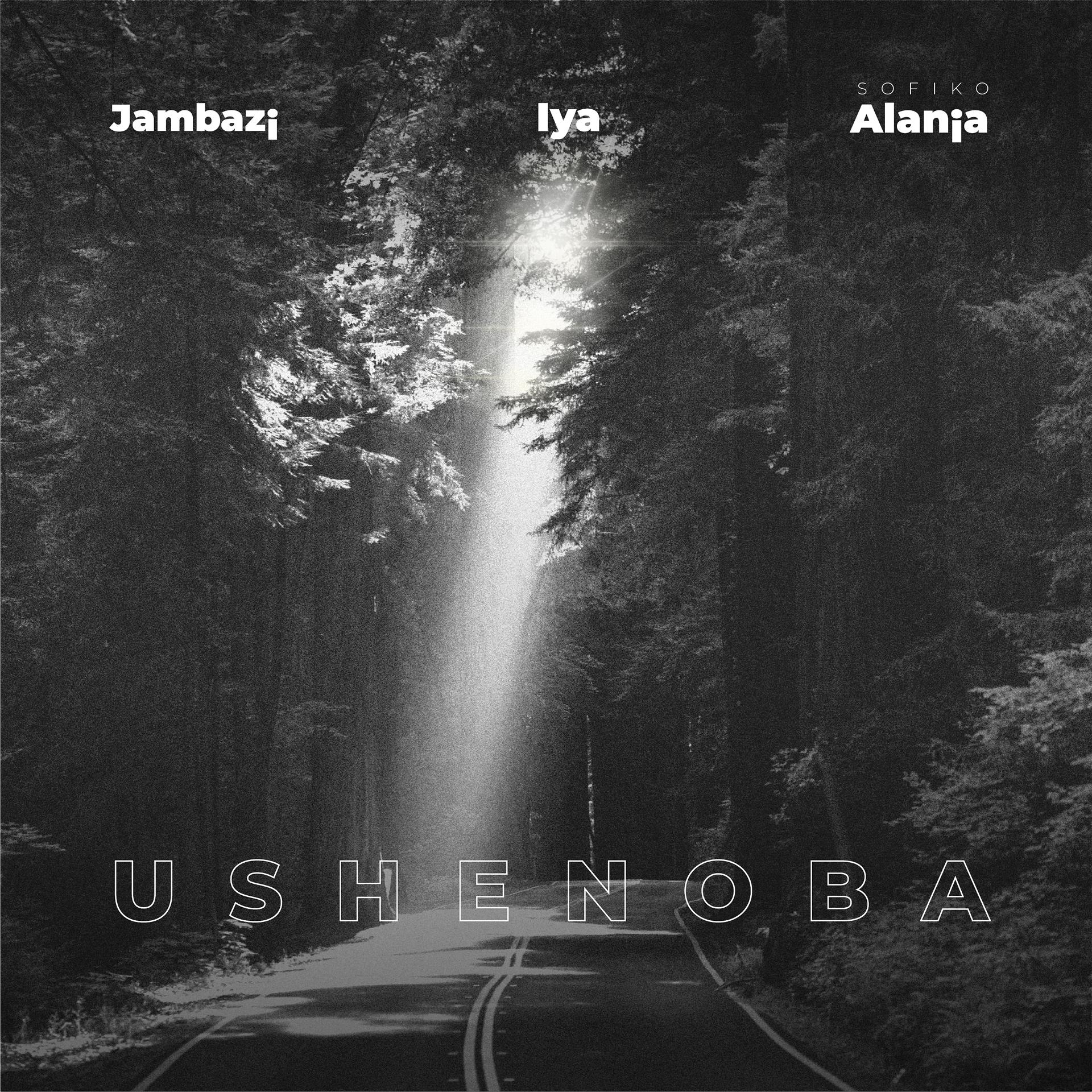 Постер альбома Ushenoba