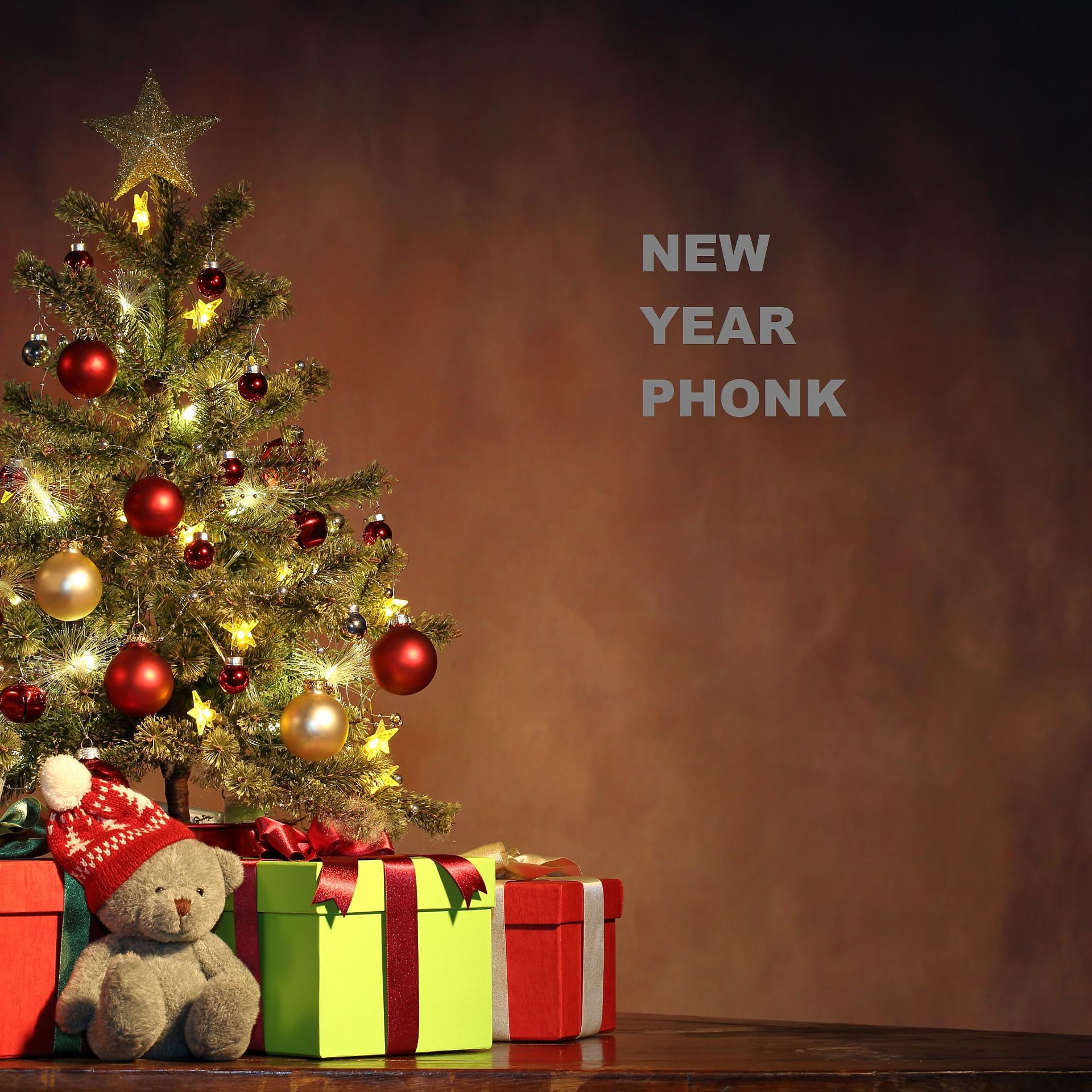 Постер альбома New Year Phonk