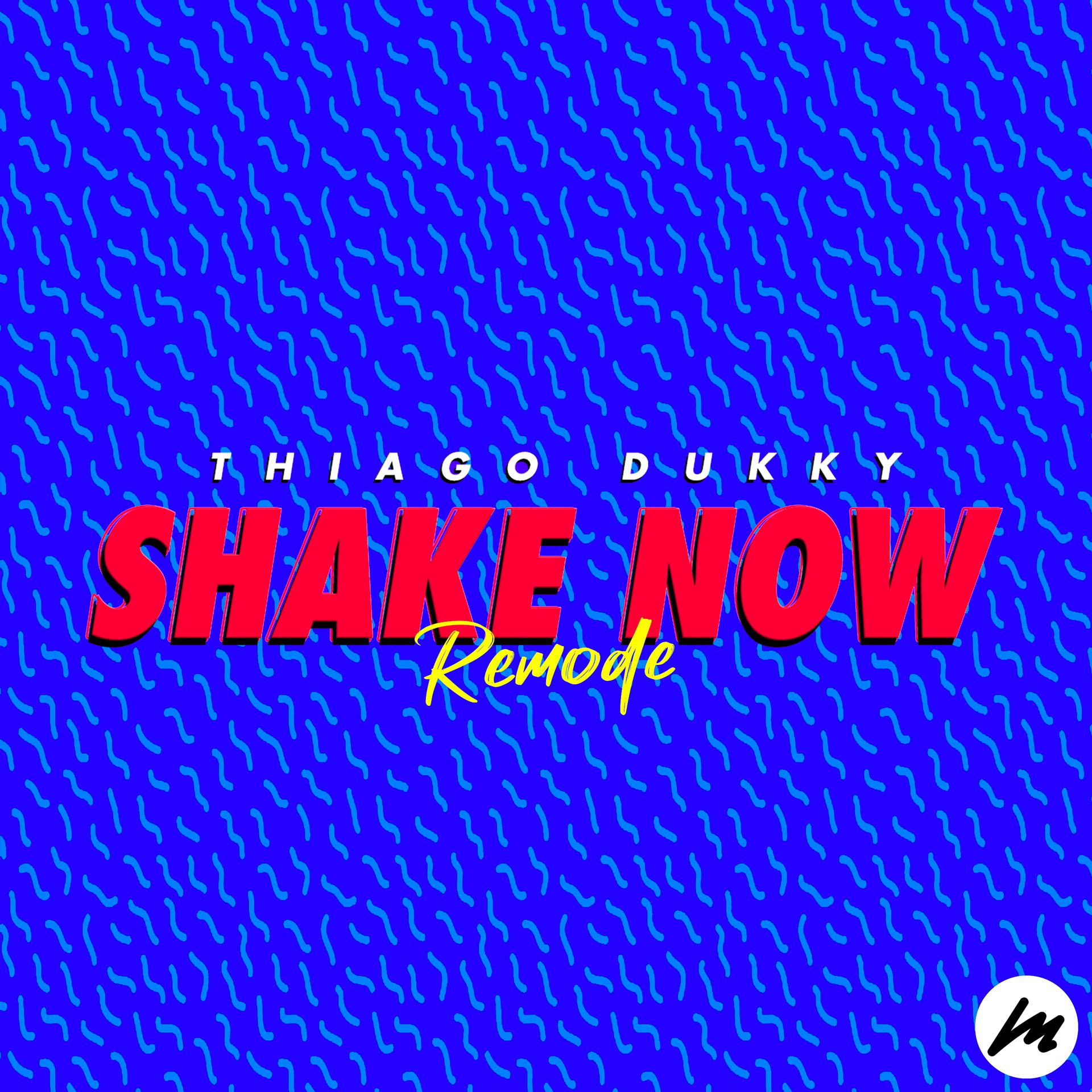 Постер альбома Shake Now (Remode)