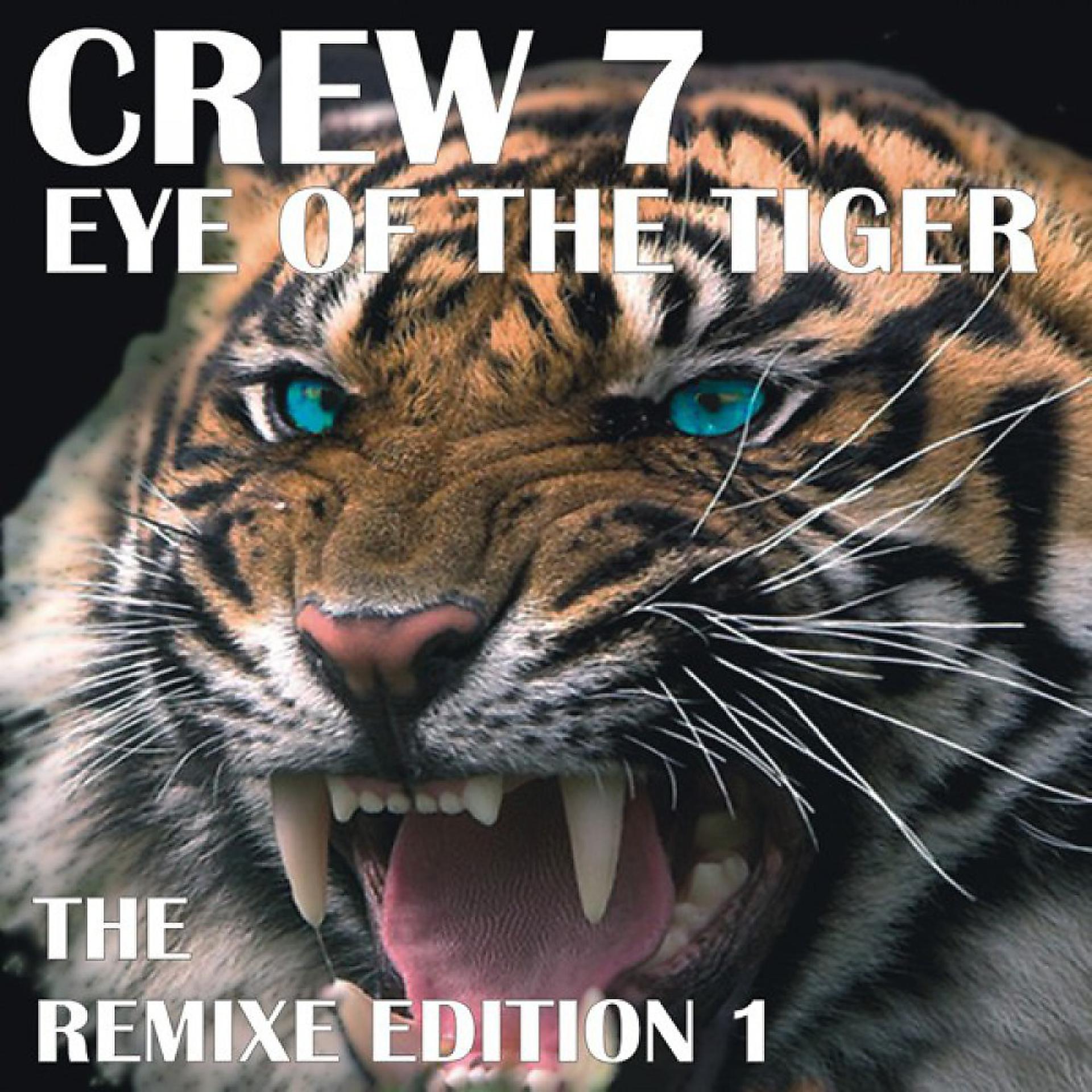 Постер альбома Eye of the Tiger - Remix Edition 1