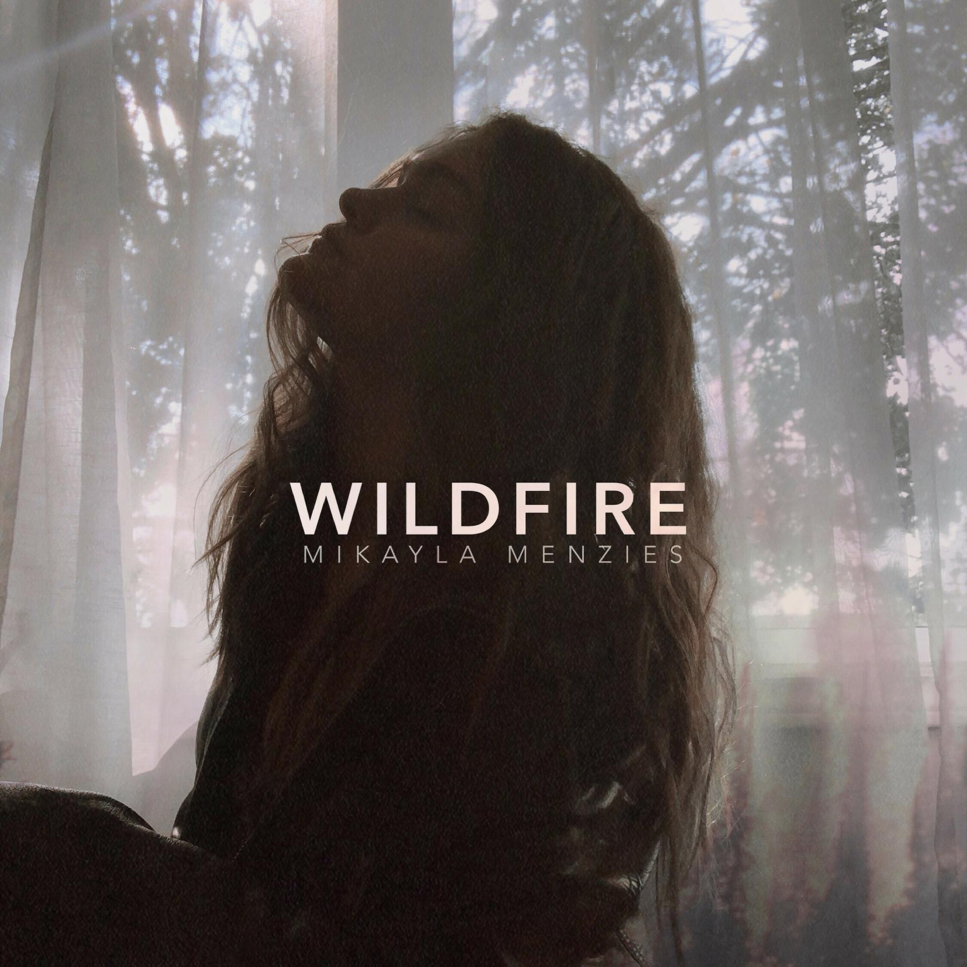 Постер альбома Wildfire (Remix)