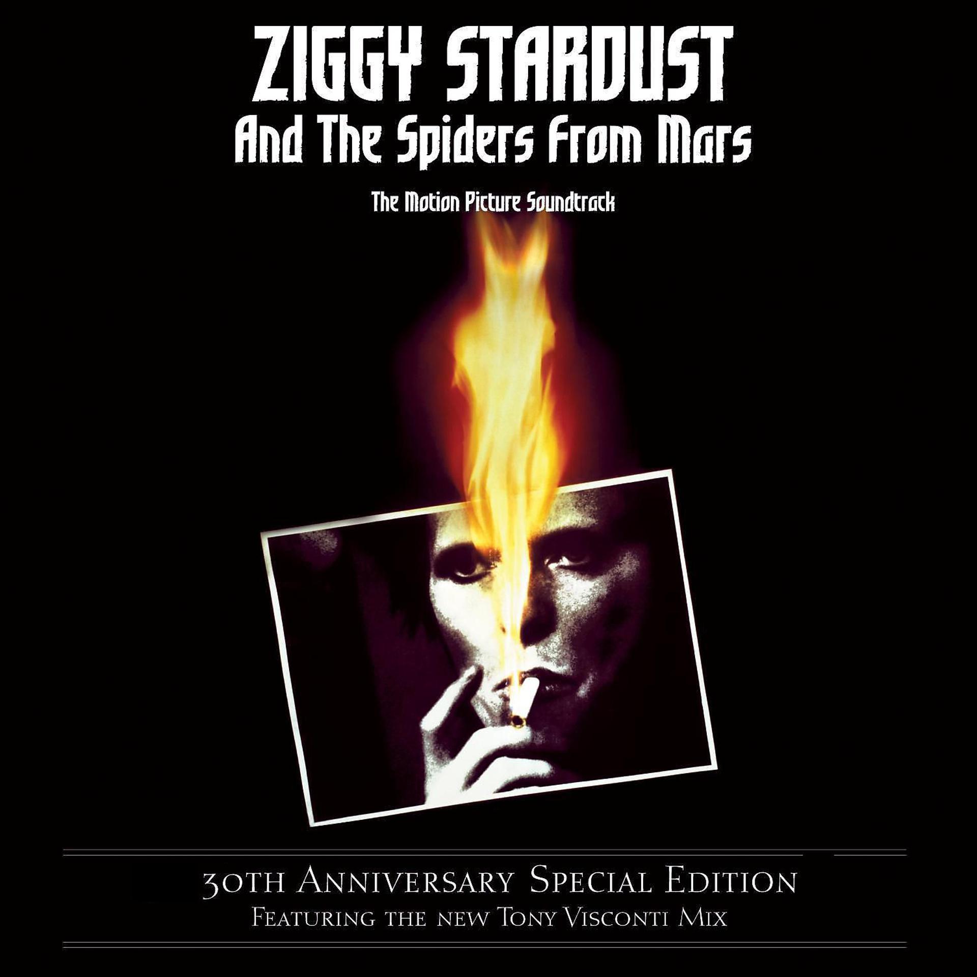 Постер альбома Ziggy Stardust and the Spiders from Mars (The Motion Picture Soundtrack)