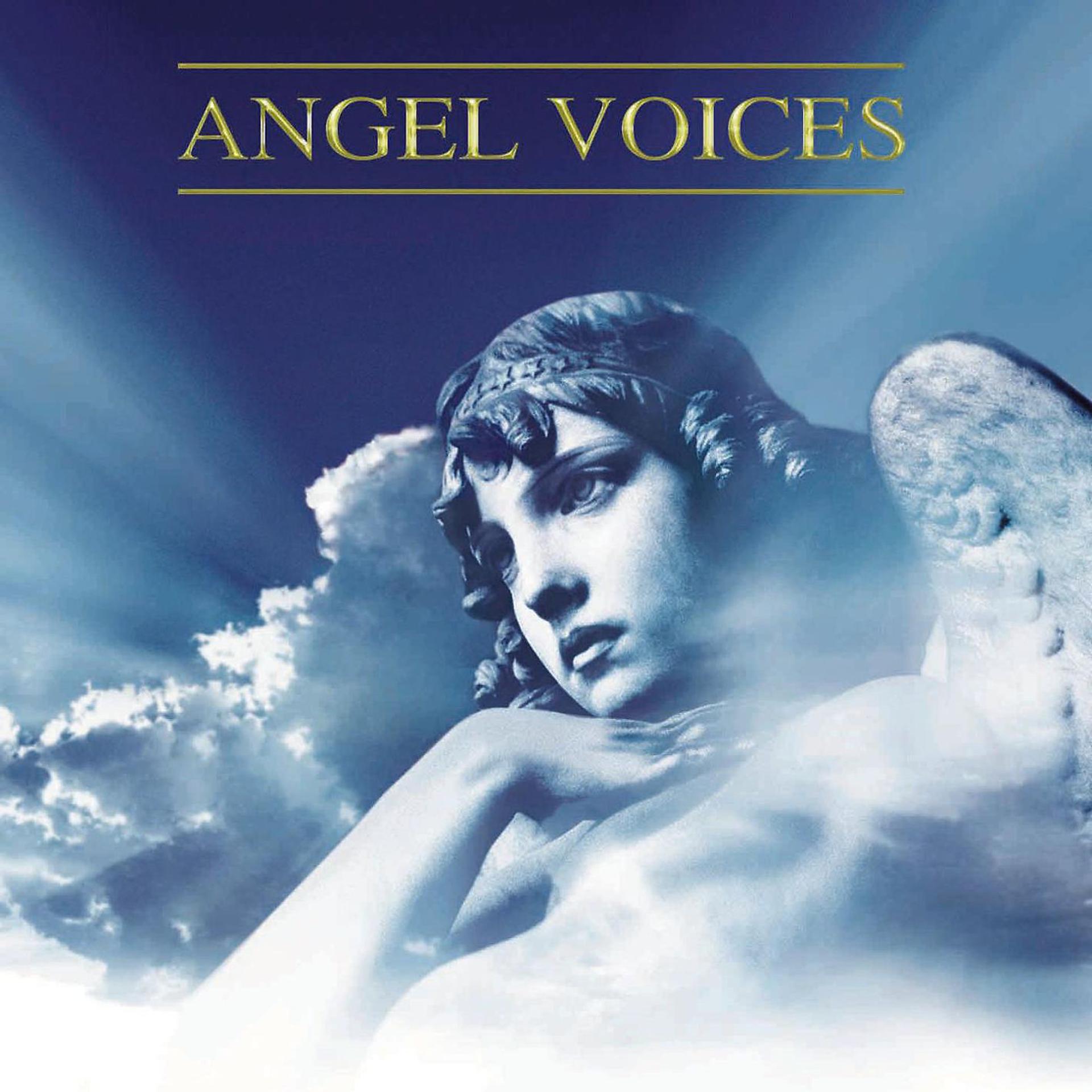 Постер альбома Les Voix Du Ciel (Angel Voices)