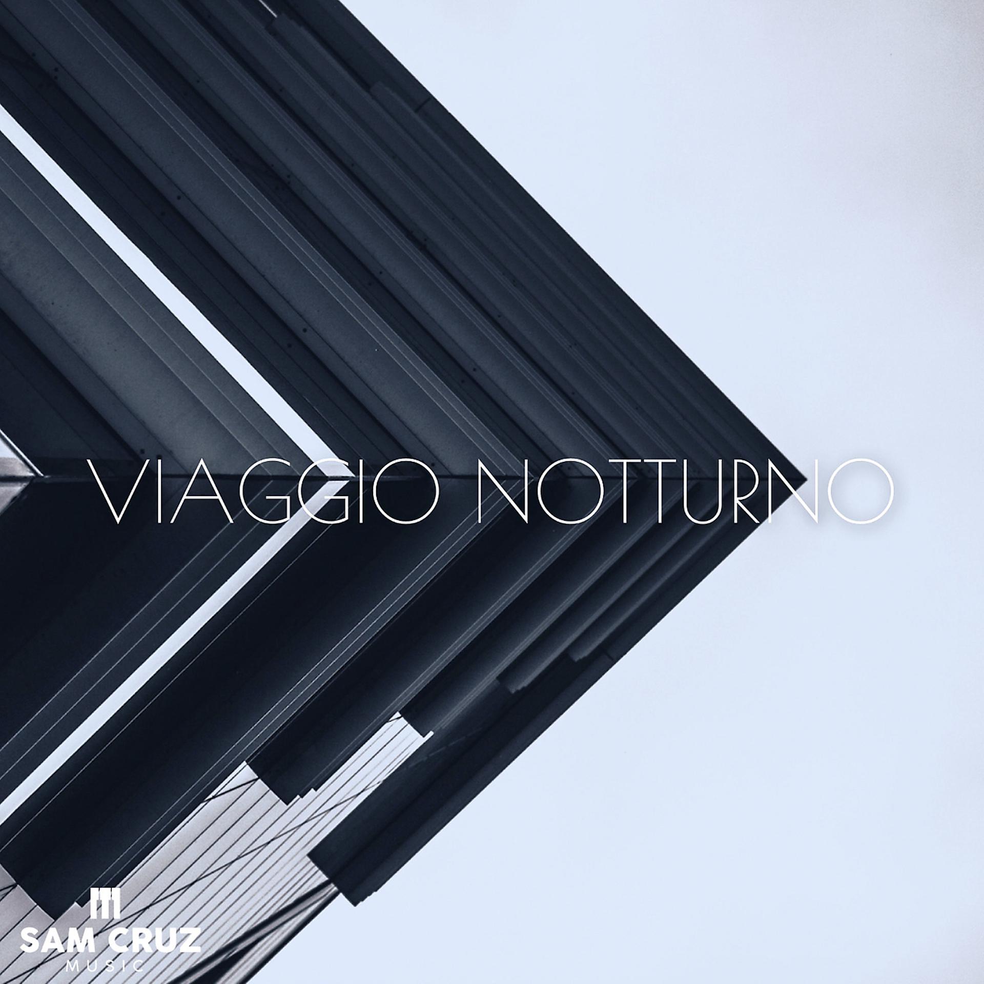 Постер альбома Viaggio notturno