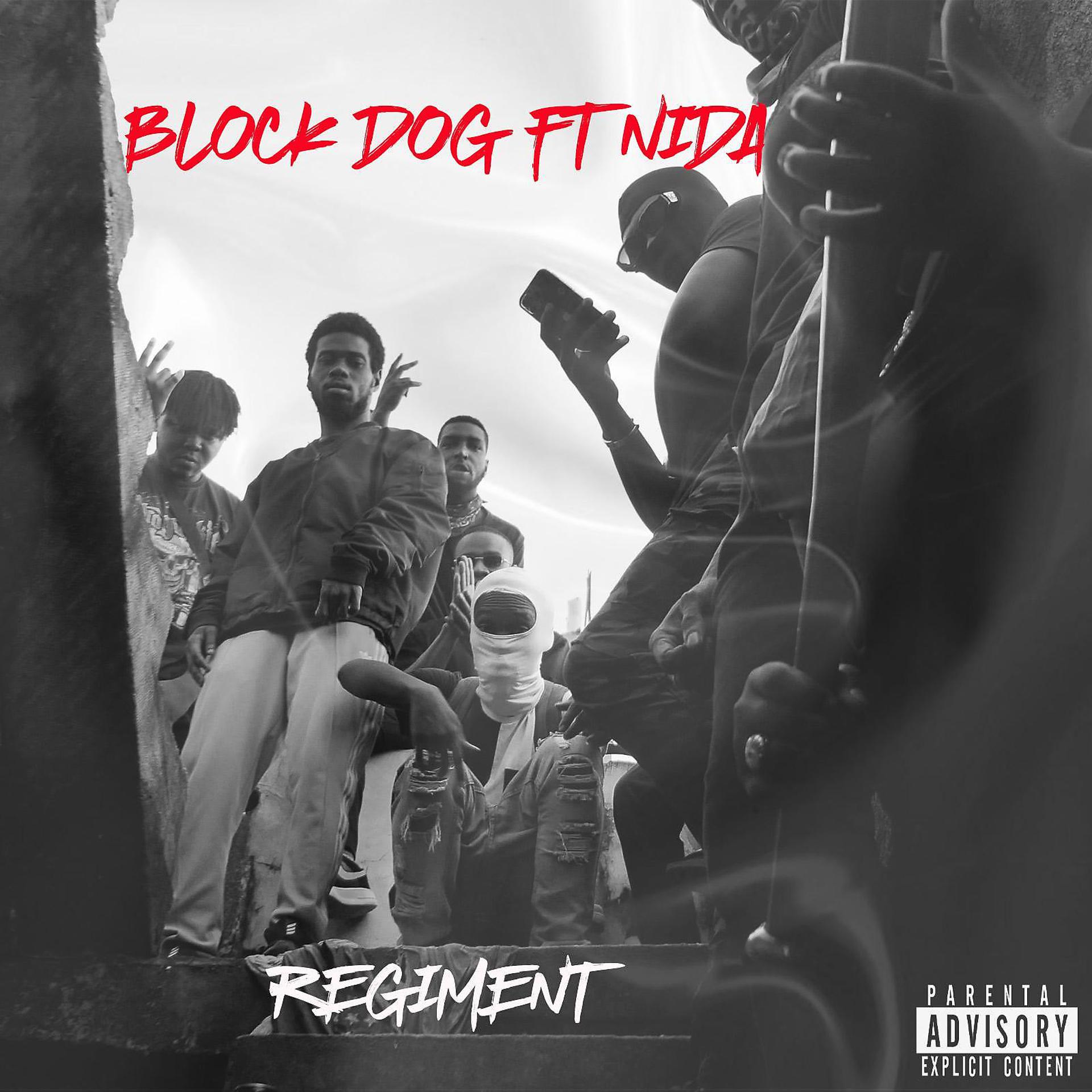 Постер альбома Regiment (feat. NIDA)