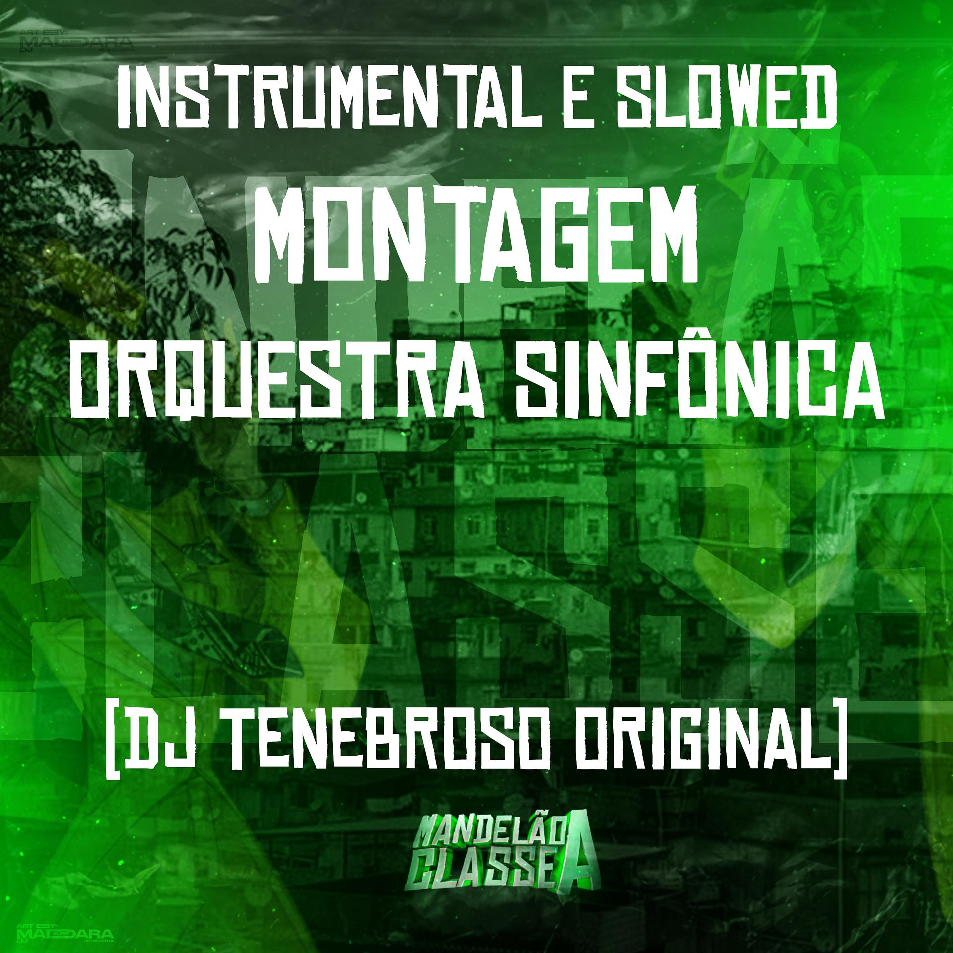 Постер альбома Instrumental e Slowed - Montagem Orquestra Sinfônica