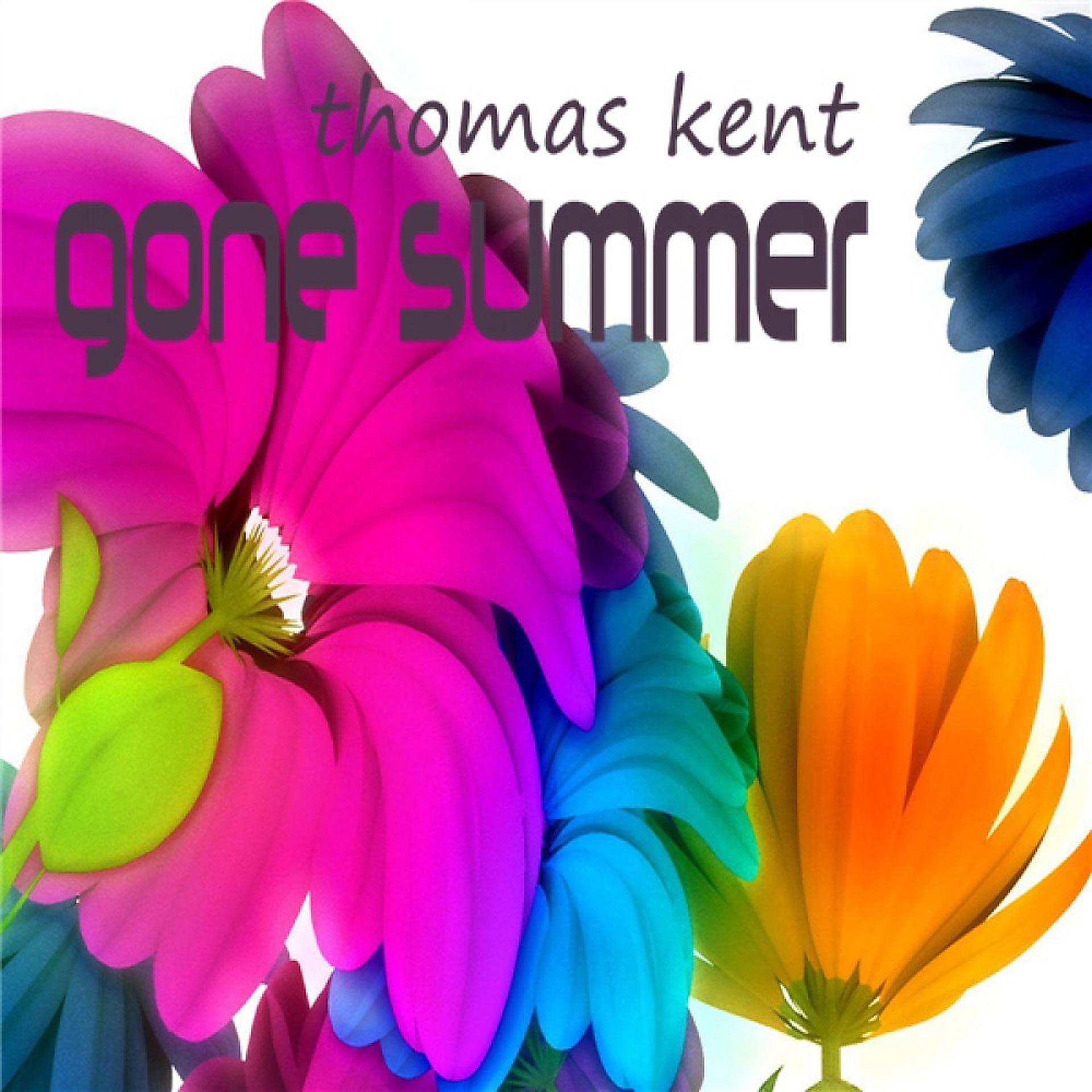 Постер альбома Gone Summer