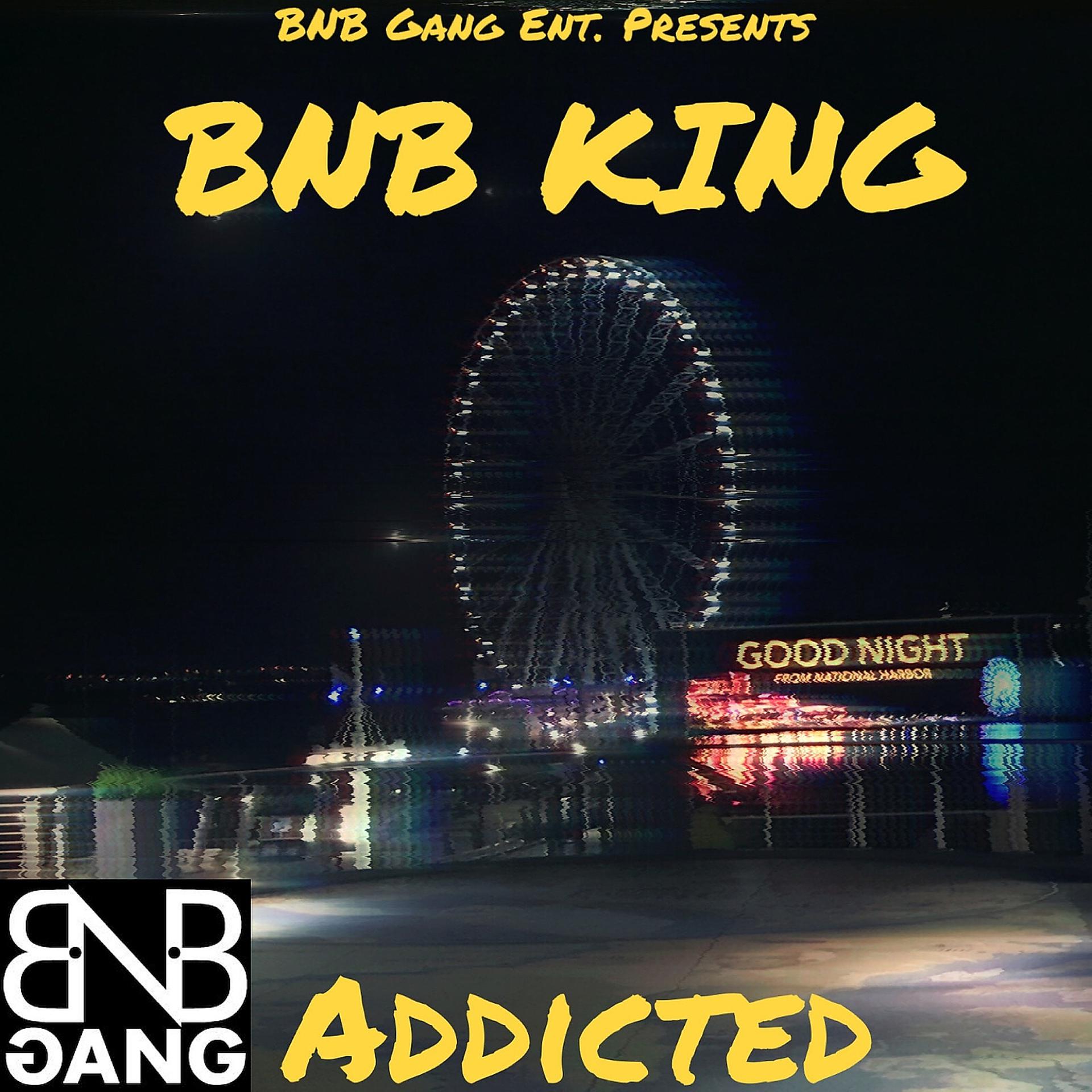 Постер альбома Addicted (Radio Edit)