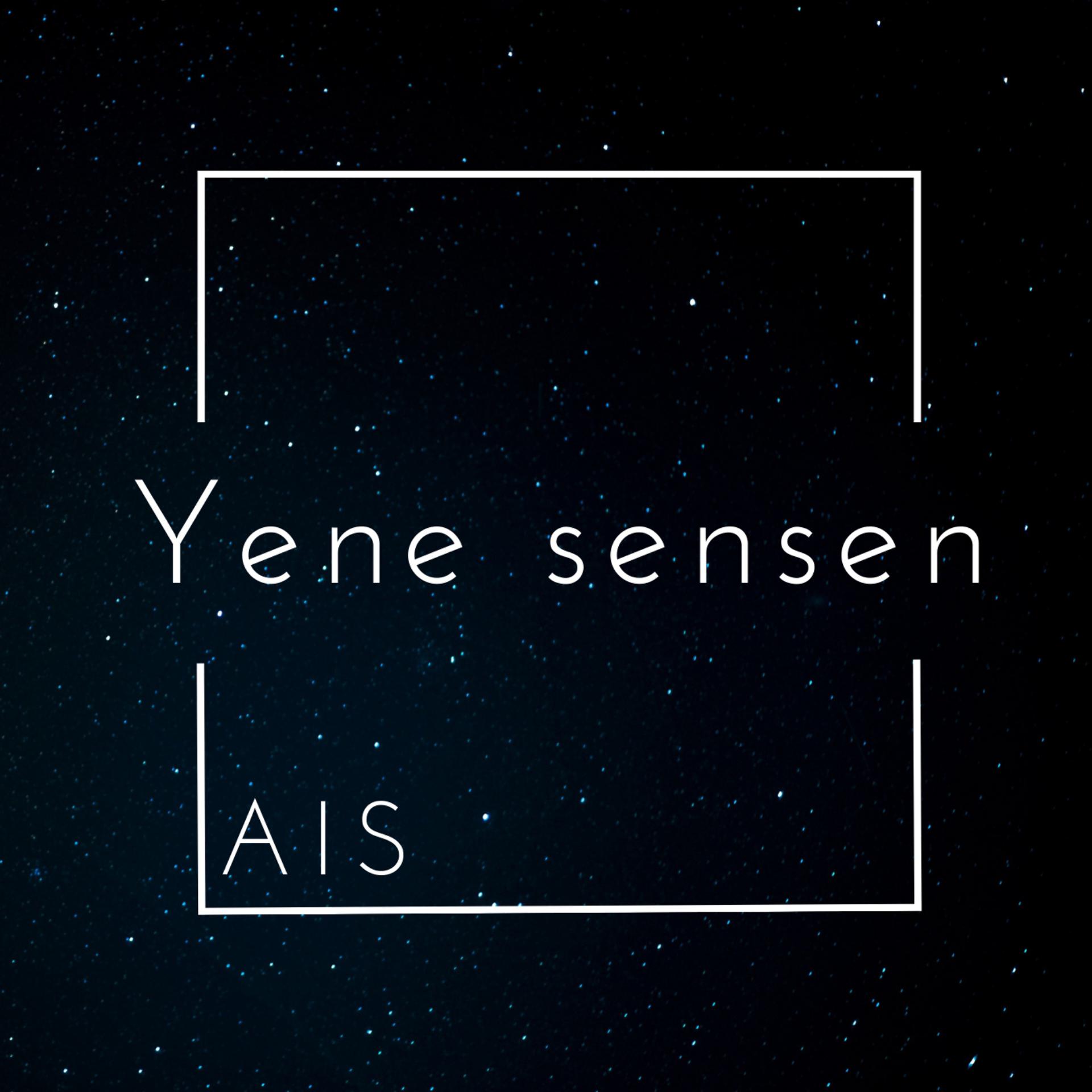 Постер альбома Yene Sensen