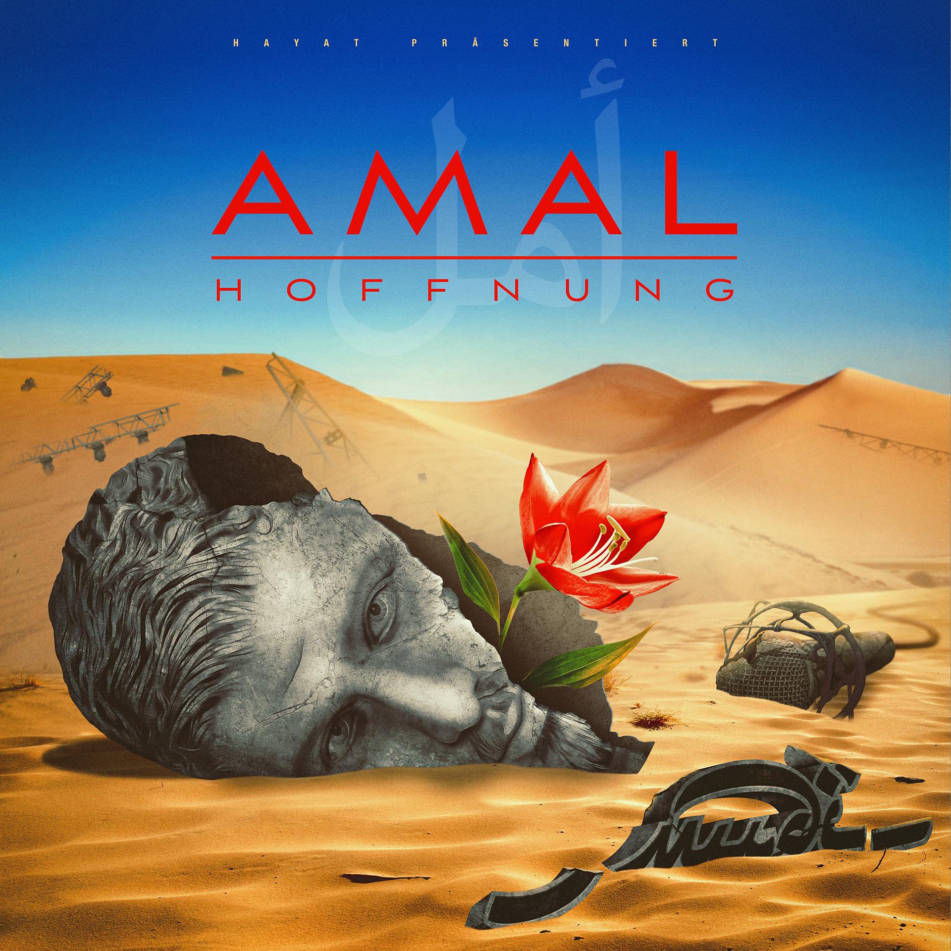 Постер альбома Amal