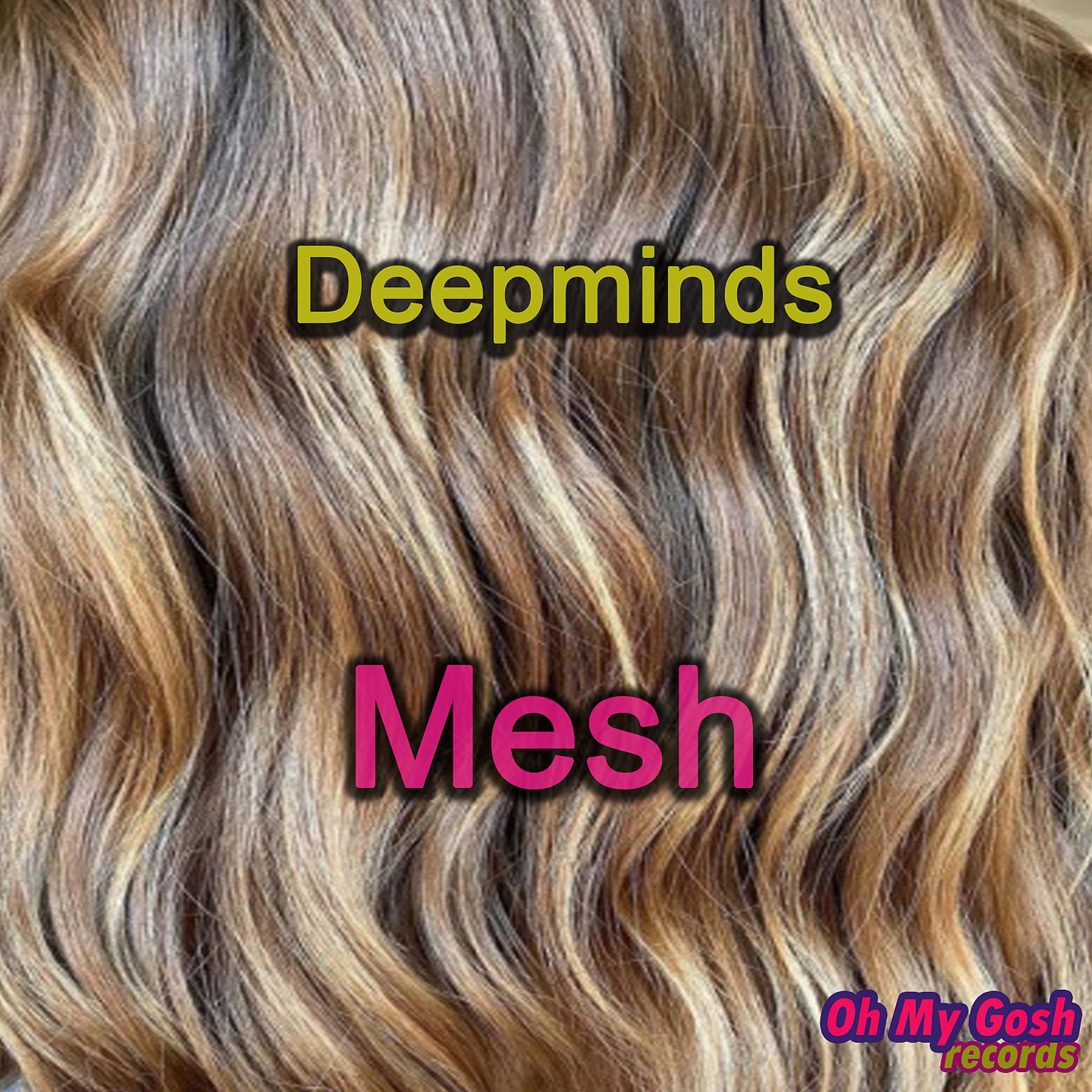 Постер альбома Mesh