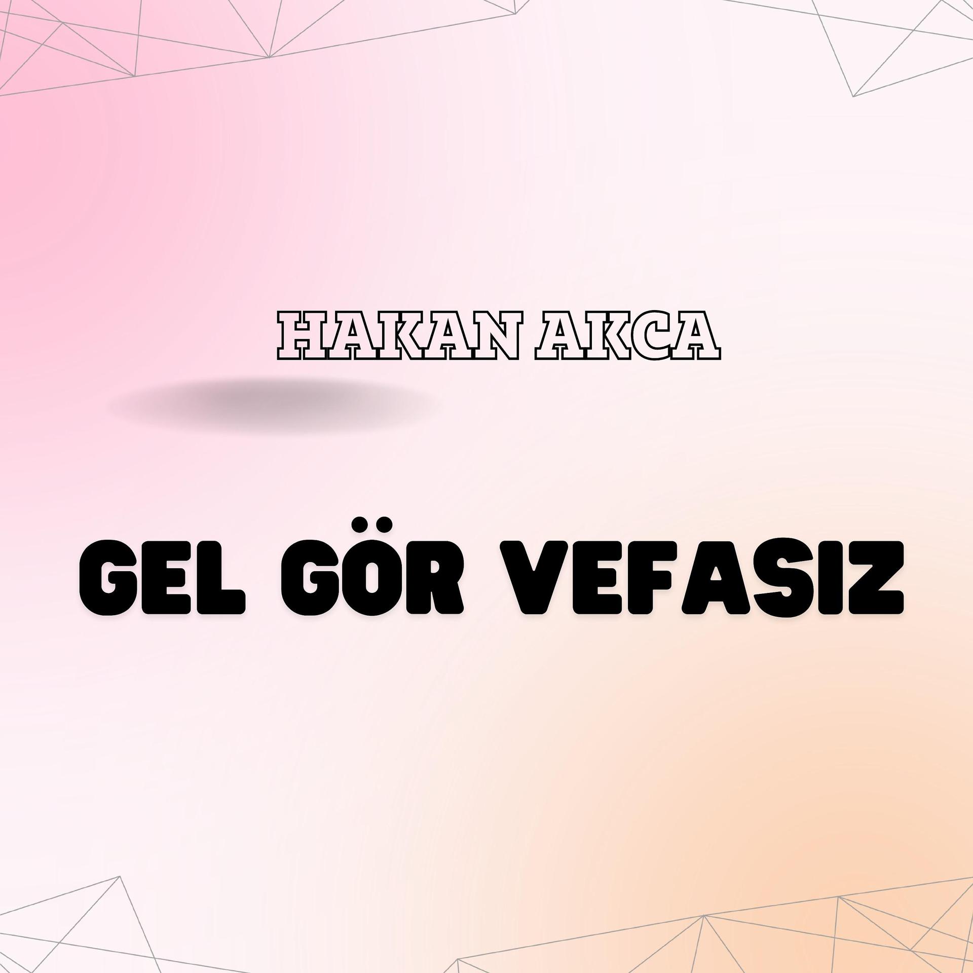 Постер альбома Gel Gör Vefasız