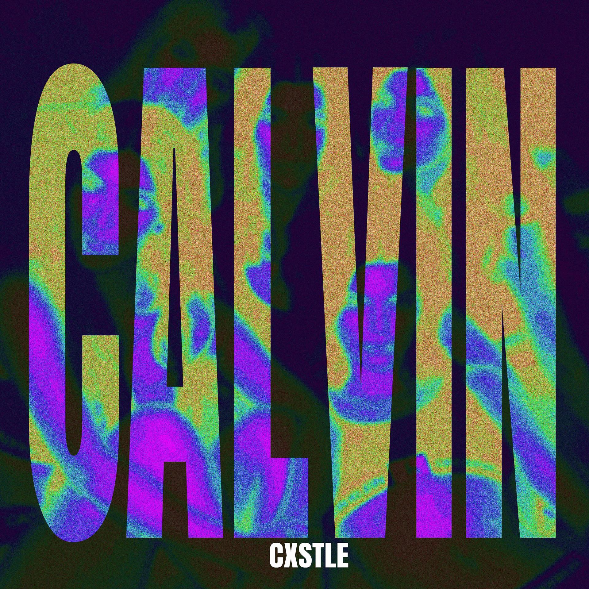 Постер альбома Calvin