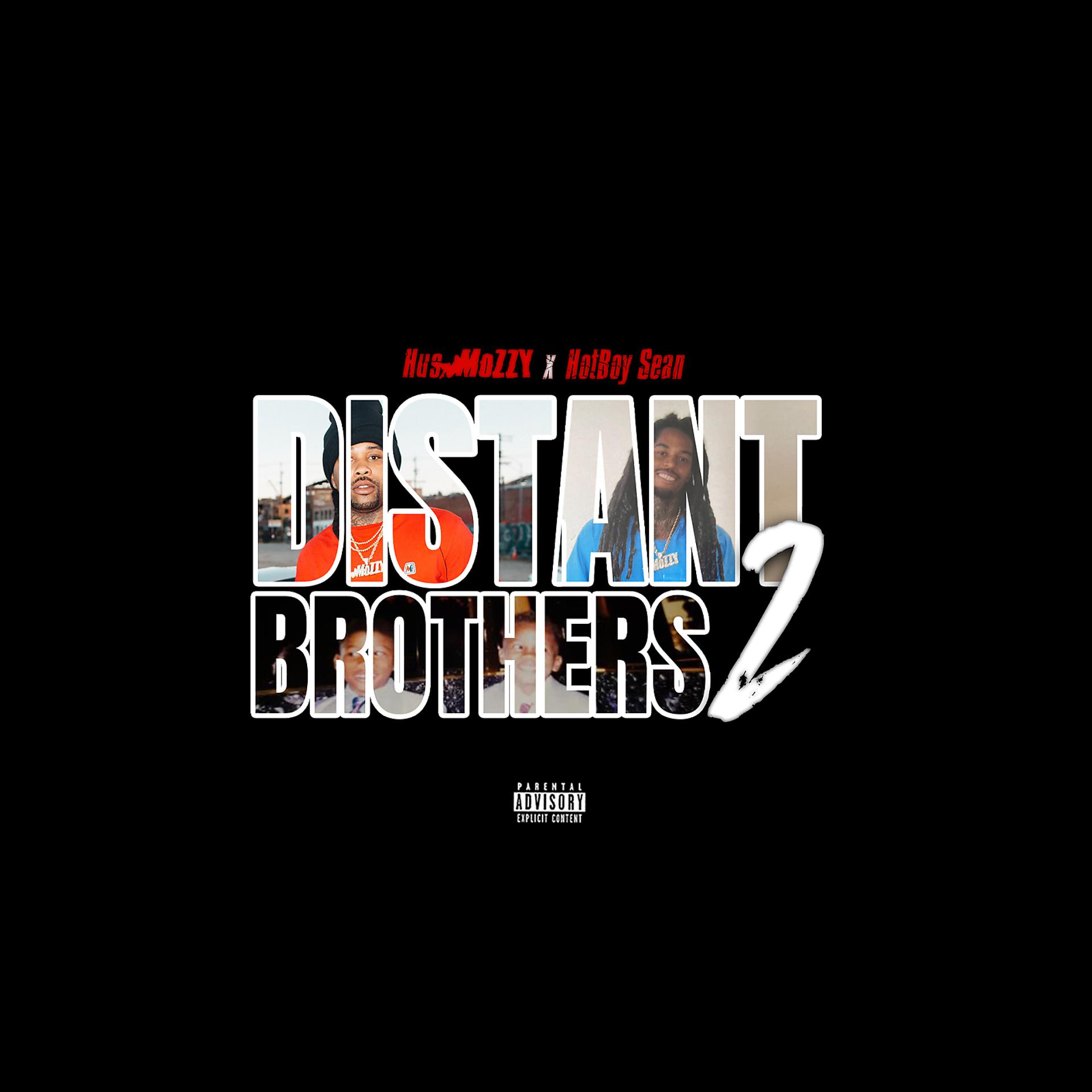 Постер альбома Distant Brothers 2