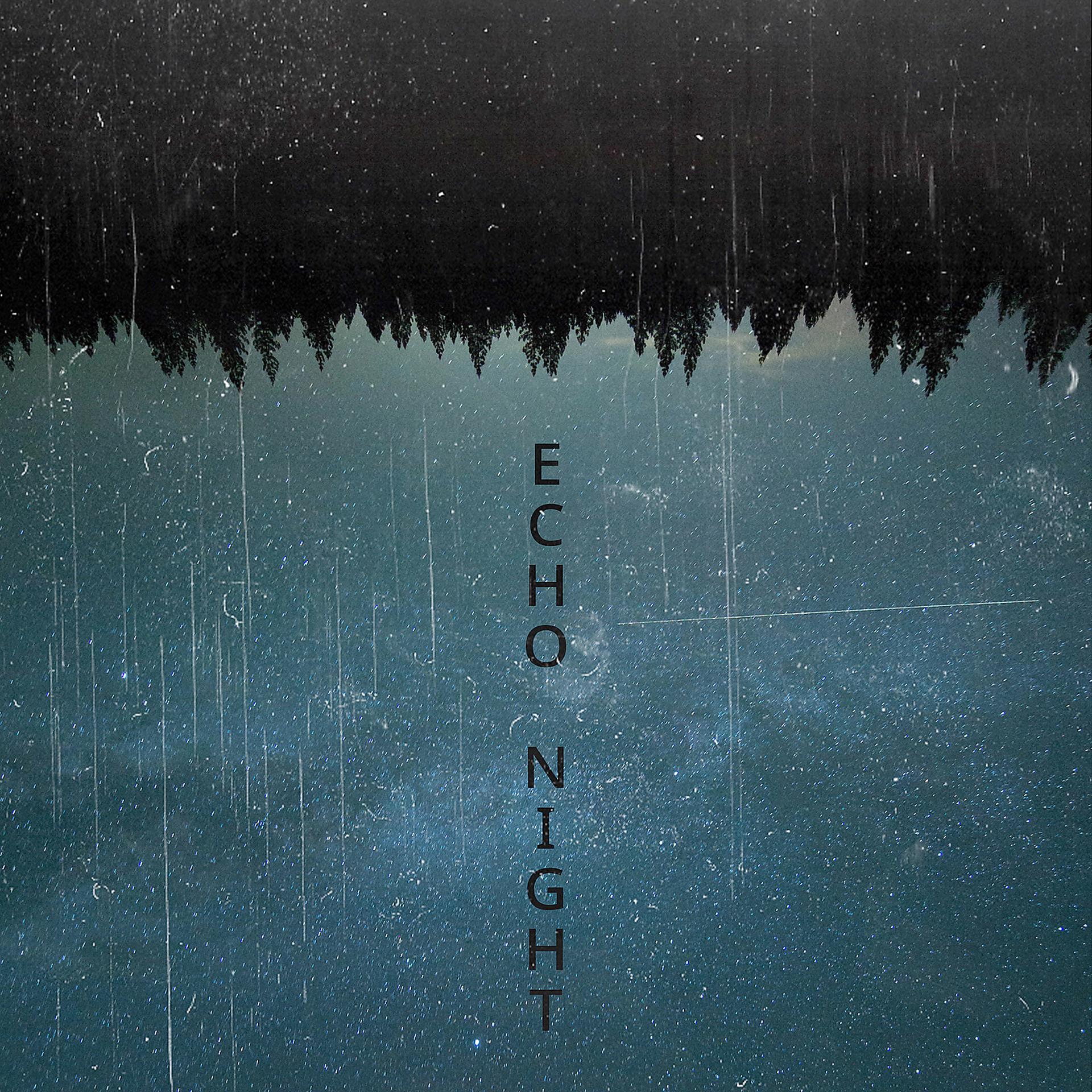 Постер альбома Echo Night