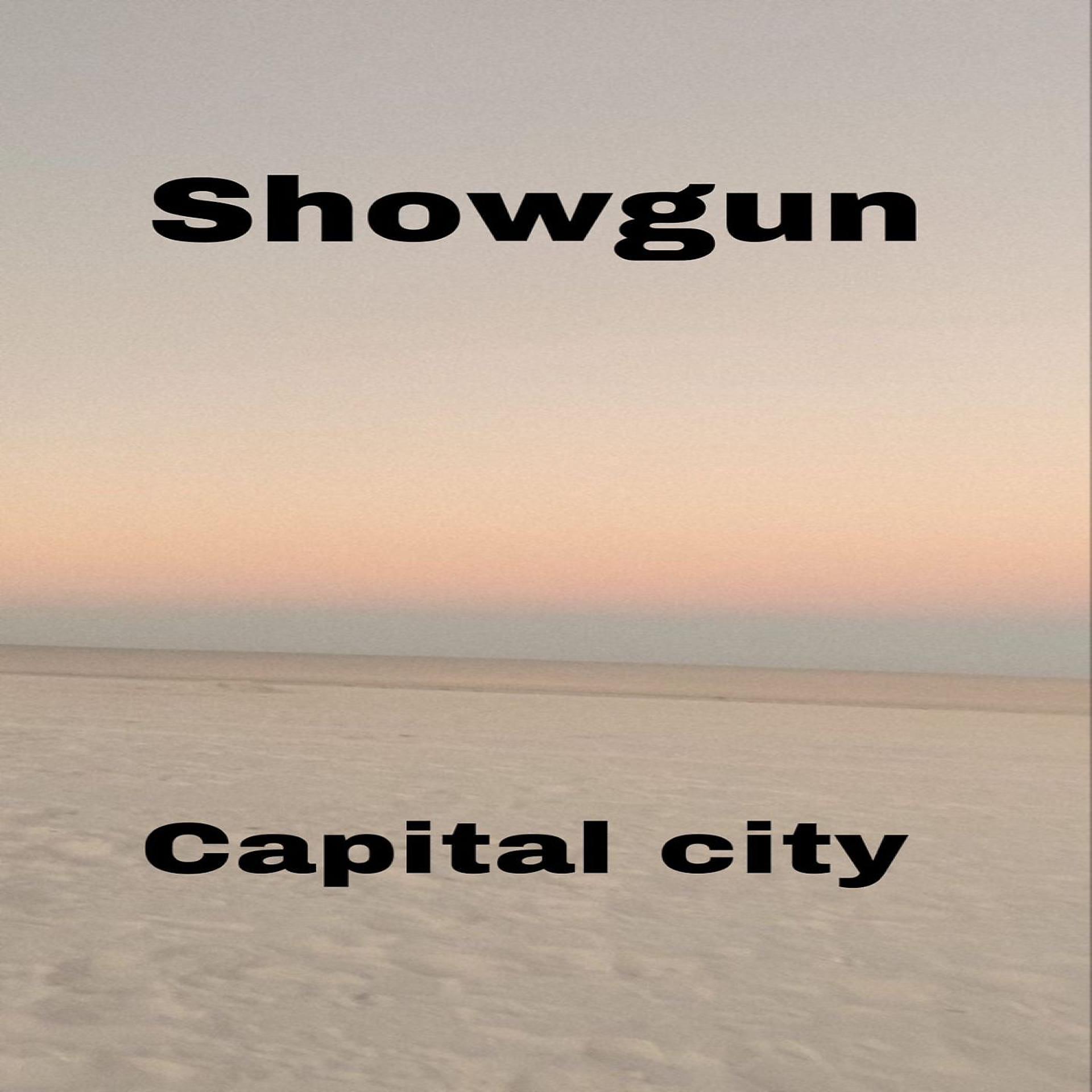 Постер альбома capital city