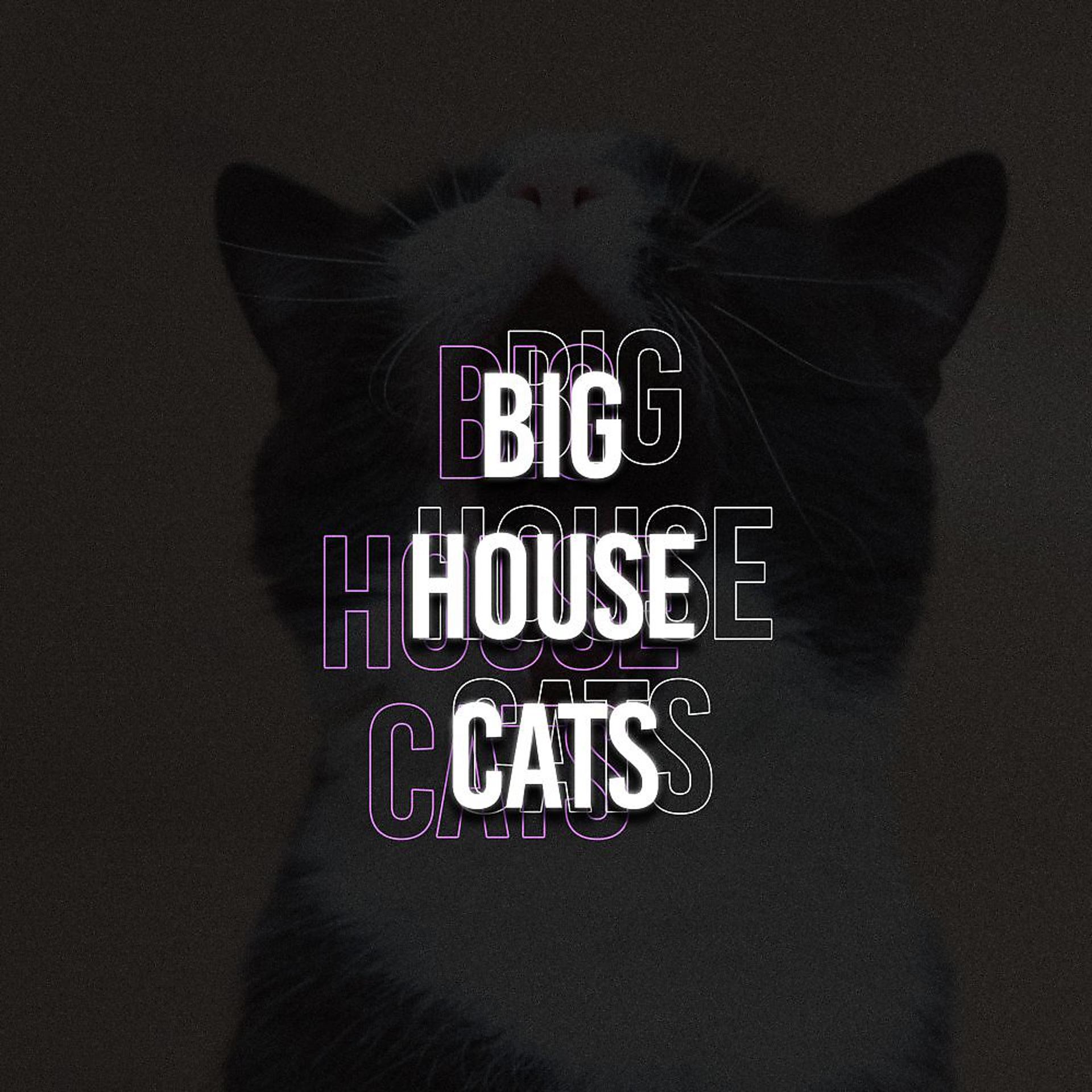 Постер альбома Big House Cats