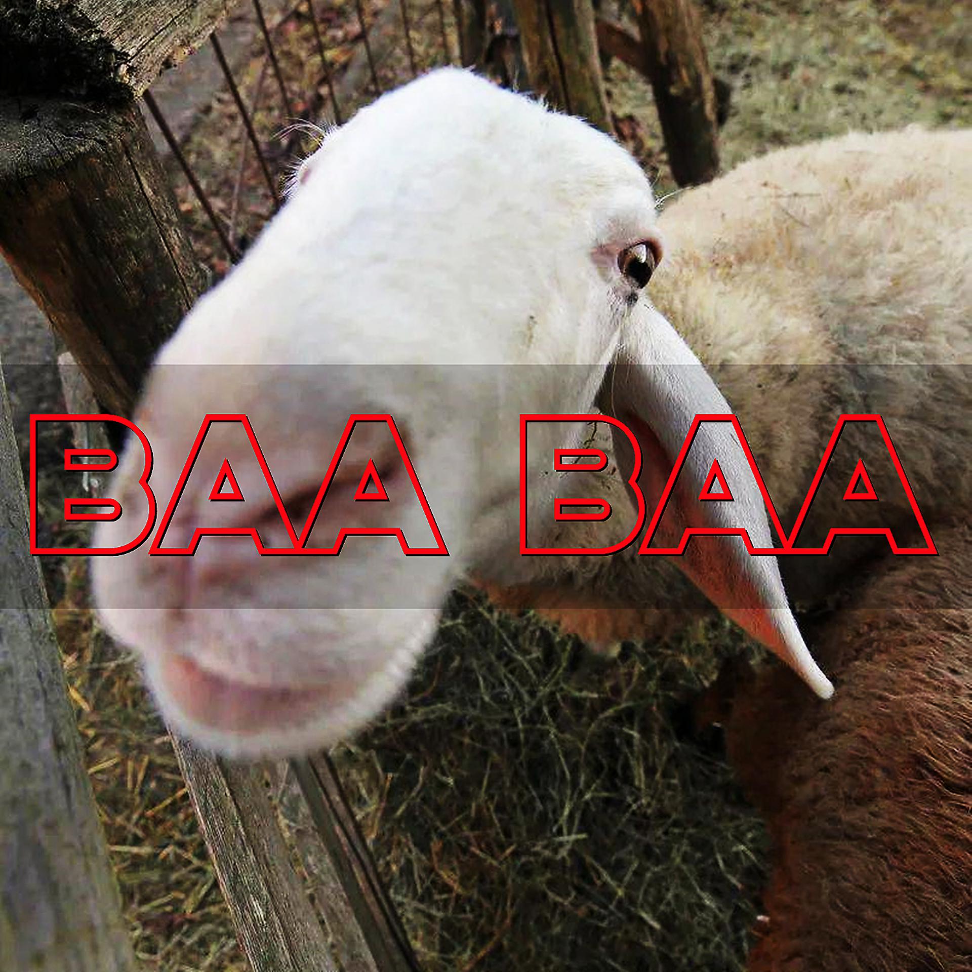 Постер альбома Baa baa