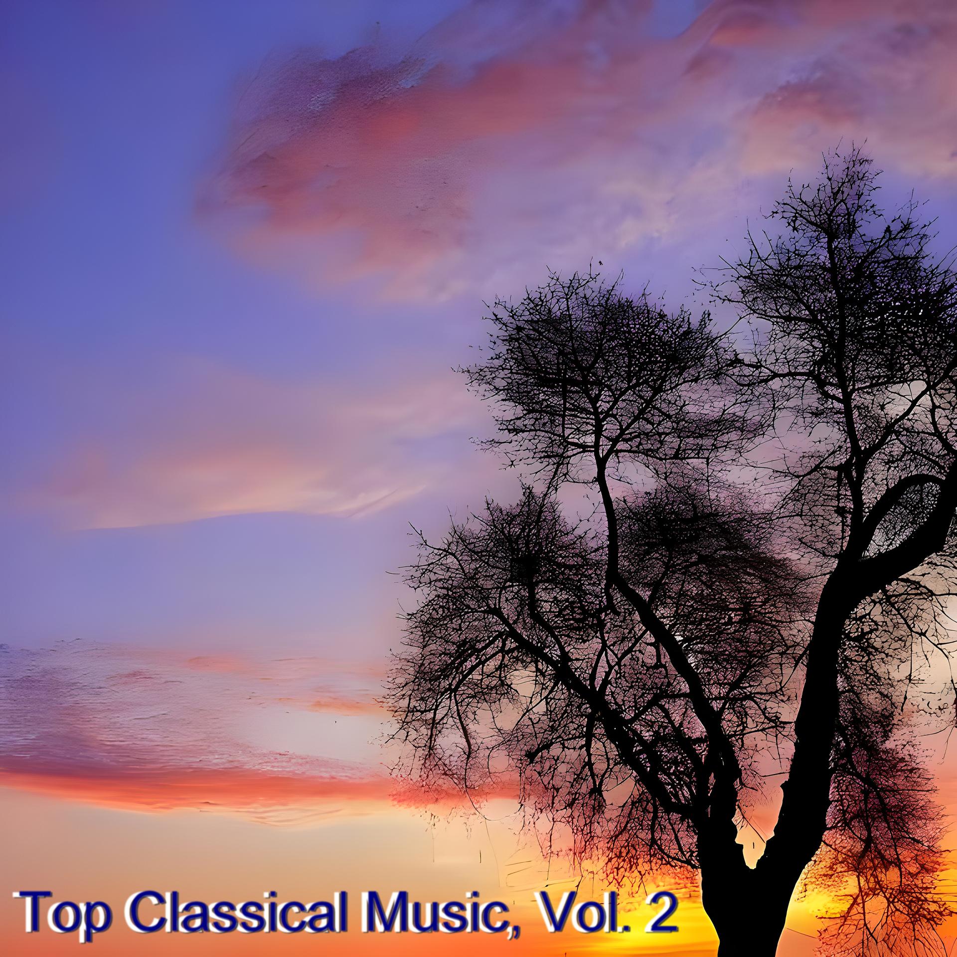 Постер альбома Top Classical Music, Vol. 2